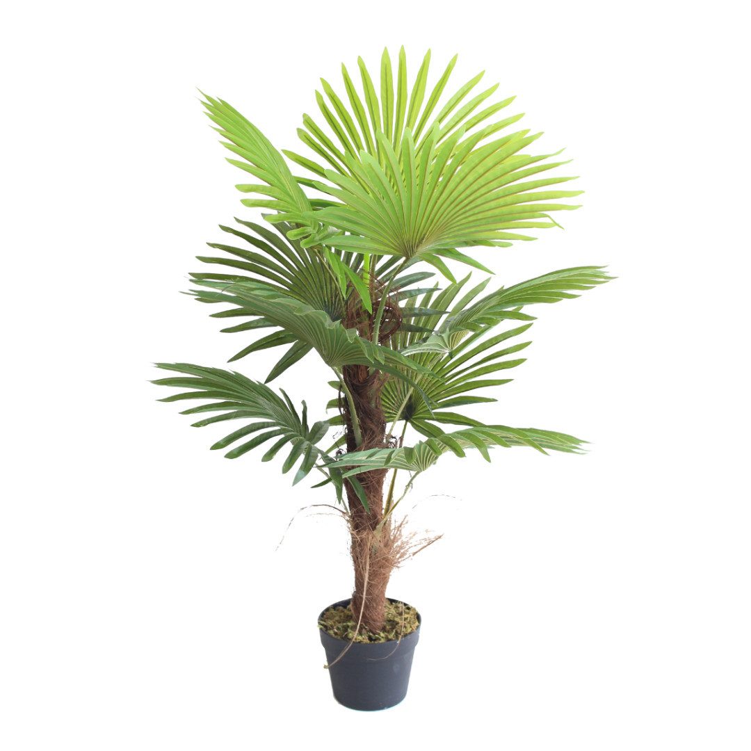 Kunstpalme SMARAGDLINE künstliche Palmen in verschiedenen Ausführungen und Größen künstliche Palmen, Lacers, Höhe 90 cm, realistische Haptik, umweltfreundlich, naturgetreu, tierfreundlich