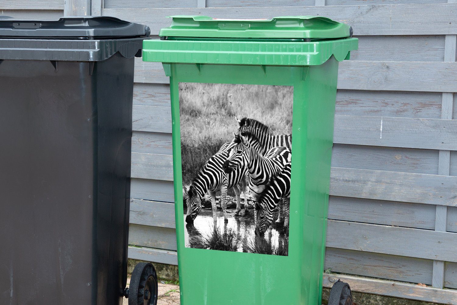 Trinkende Sticker, St), (1 Abfalbehälter Container, Zebras Wandsticker Mülltonne, MuchoWow Mülleimer-aufkleber,