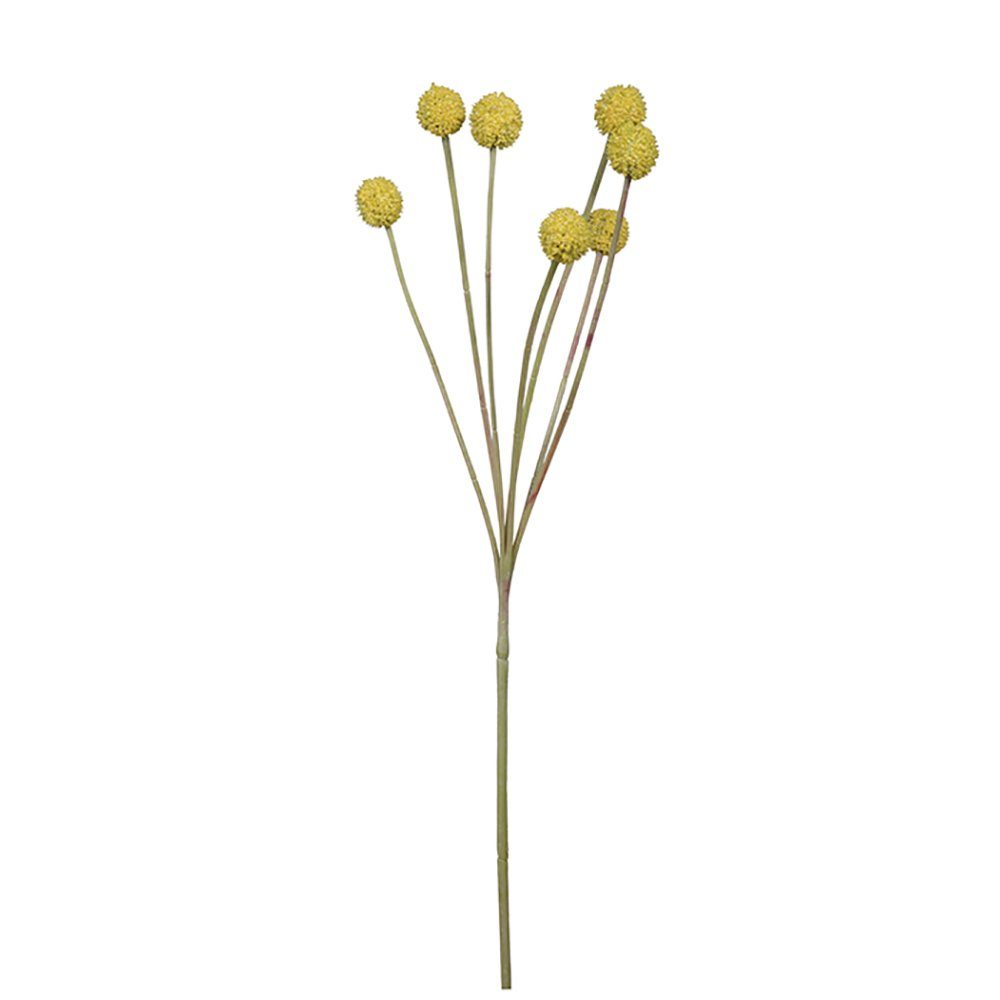 Kunstpflanze FINK Kunstblume Craspedia - gelb - H. Fink B. 60cm x 10cm
