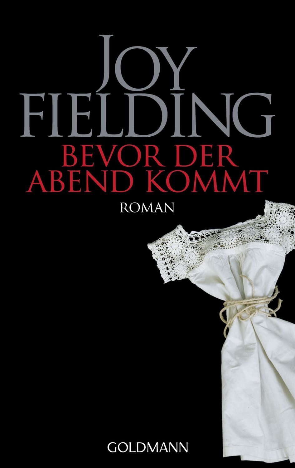 Belletristik Bevor der Abend kommt Roman Joy Fielding