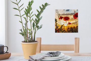 OneMillionCanvasses® Leinwandbild Rote Mohnblumen bei Sonnenaufgang, (1 St), Leinwand Bilder für Wohnzimmer Schlafzimmer