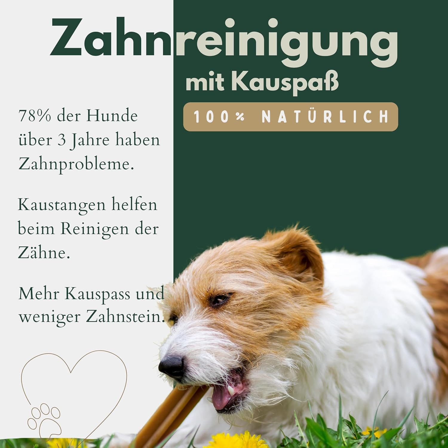 Breers Pet Food Ochsenziemerbruch getrocknet, Snack für: Hunde