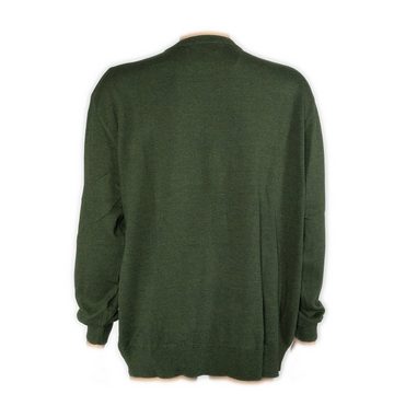 NAVIGAZIONE Strickpullover Herren Feinstrickpullover Rundhals