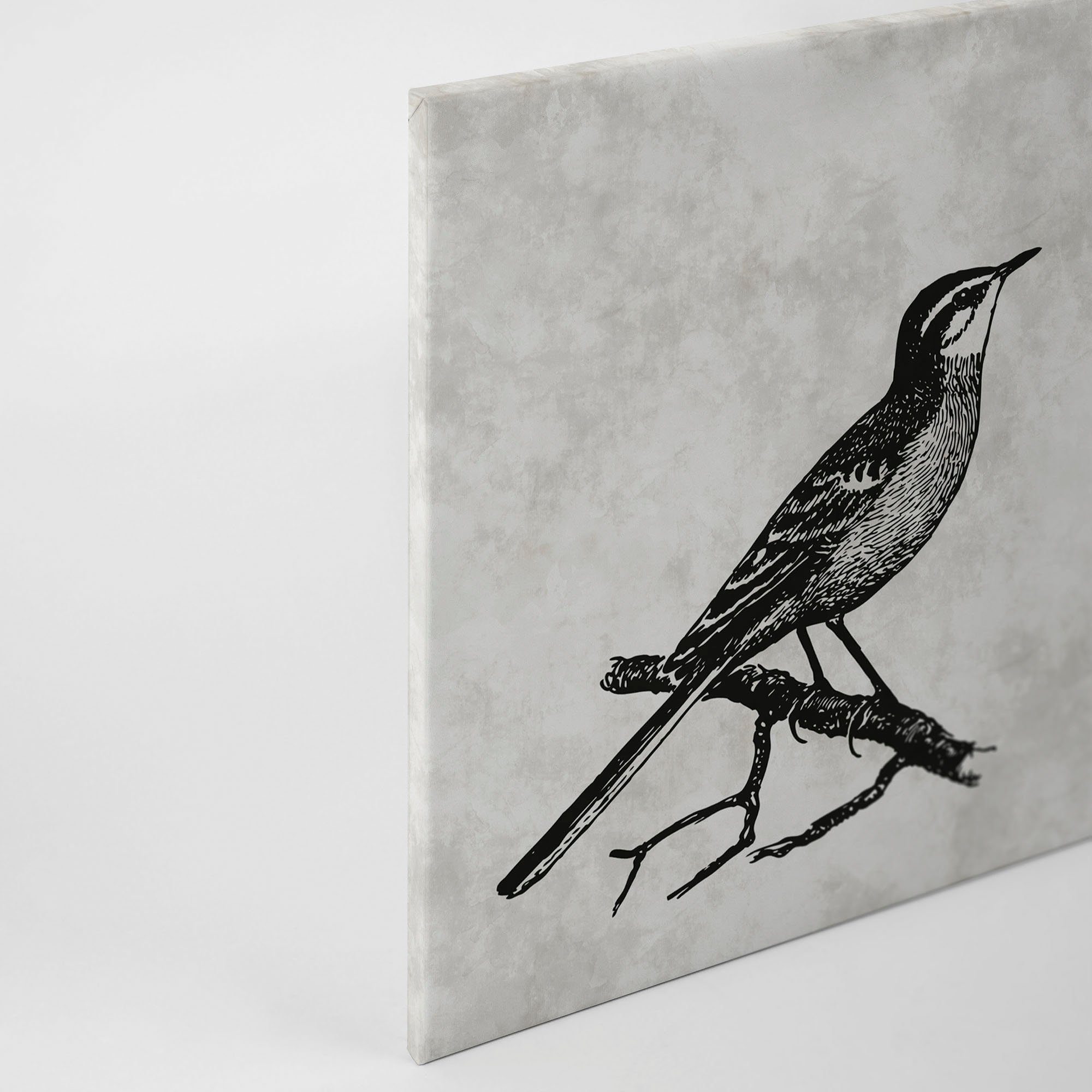 A.S. St), Schwarz-Weiß (1 4, Keilrahmen Leinwandbild Vögel Bild sketchpad Vogel Zeichnung Création