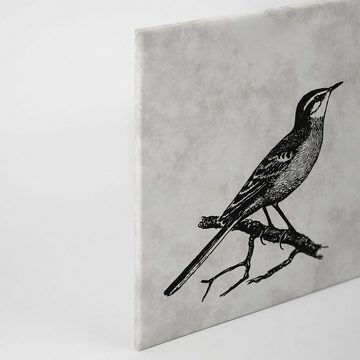 A.S. Création Leinwandbild sketchpad 4, Vögel (1 St), Schwarz-Weiß Zeichnung Vogel Keilrahmen Bild