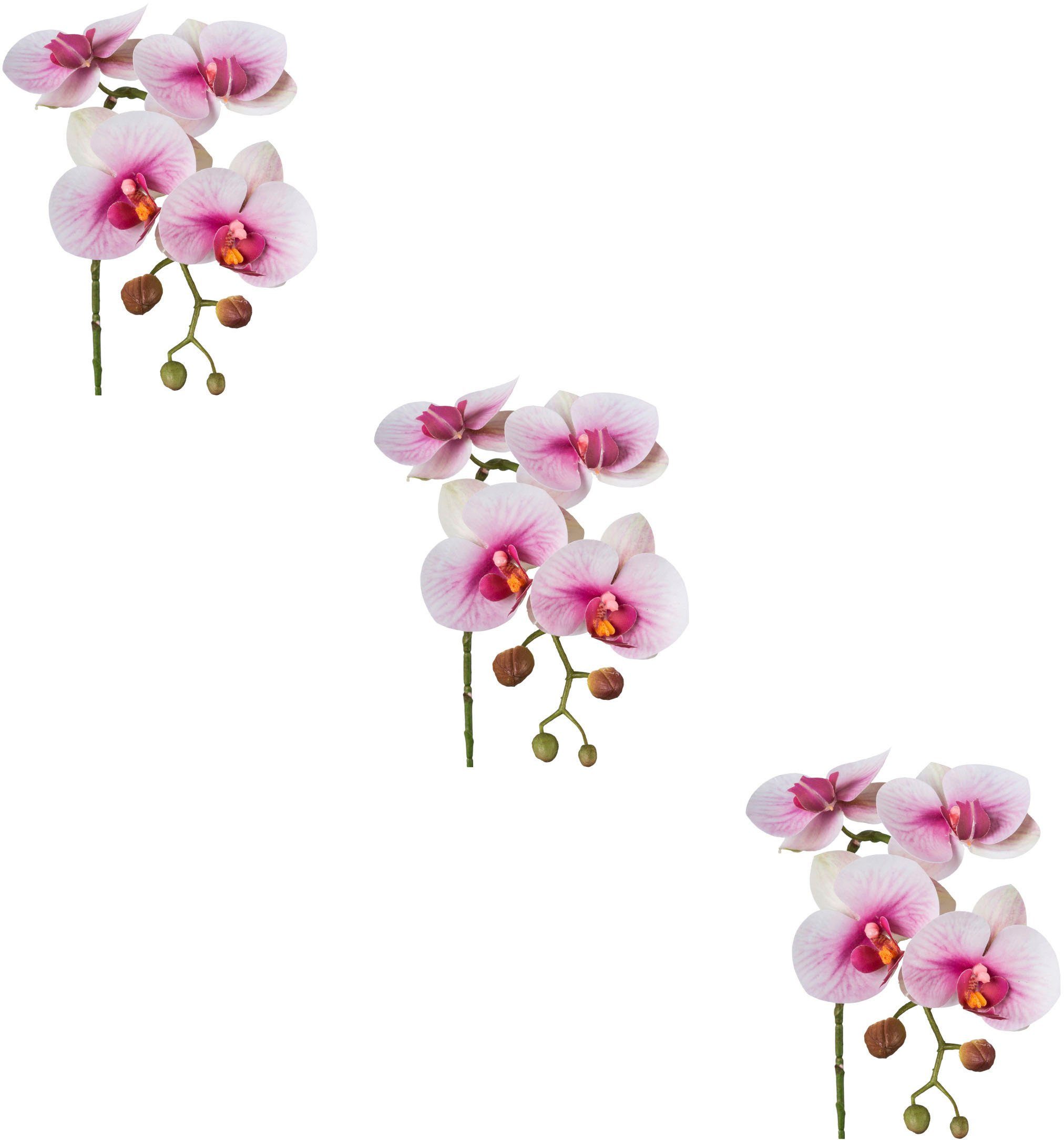 Creativ green Kunstblume "Phalaenopsis 3D-print" mit Real-Touch-Blüten günstig online kaufen
