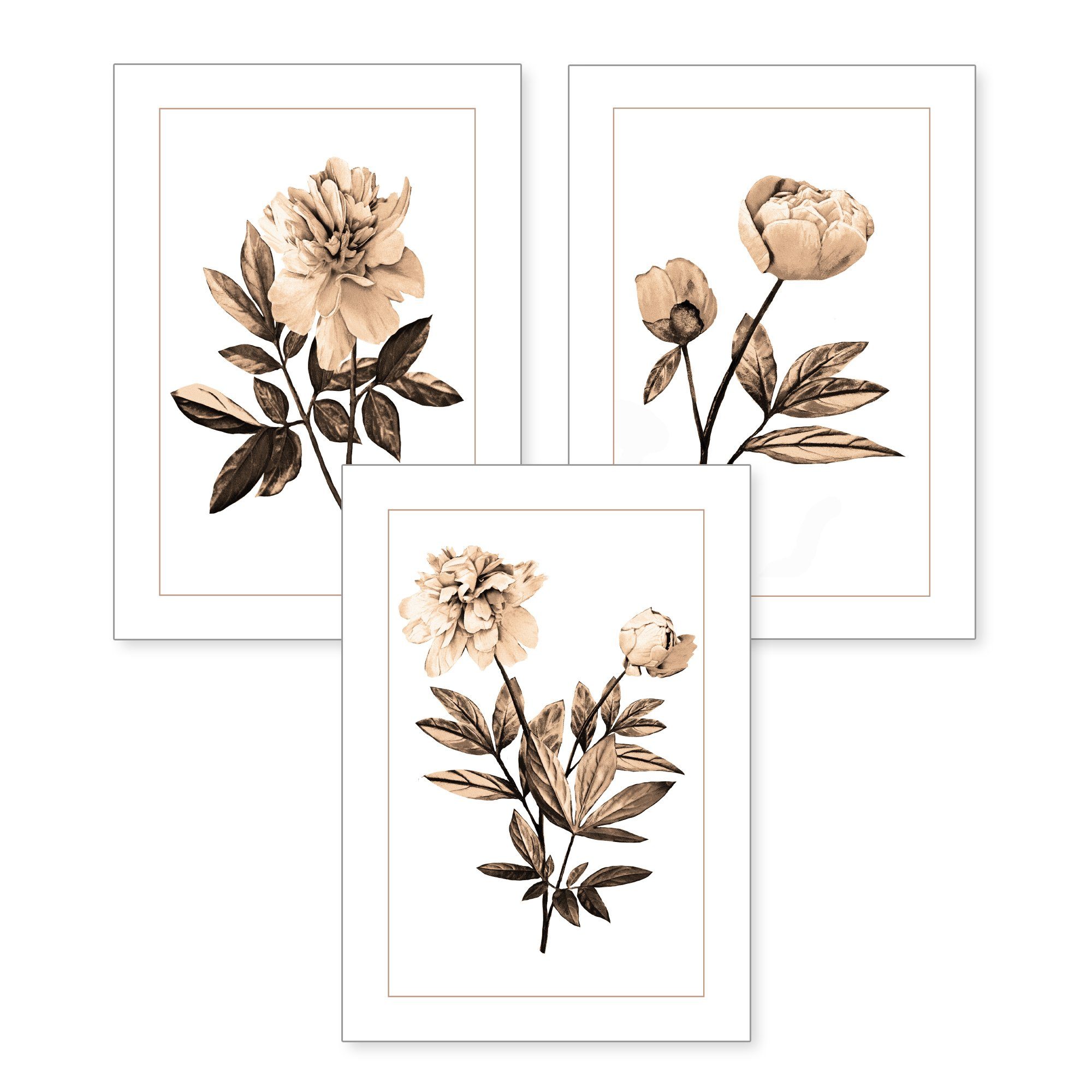 Kreative Feder Poster, Blume, Blüte, sepia, Zeichnung, Natur, Garten (Set, 4 St), 3-teiliges Poster-Set, Wandbild, optional mit Rahmen, DIN A4 oder A3