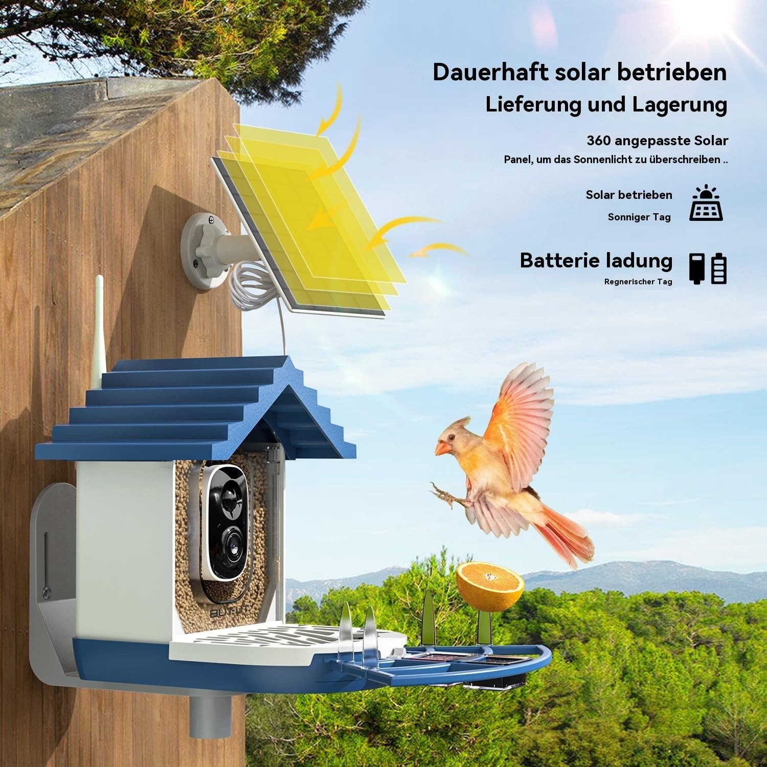 ieGeek Überwachungskamera Vogelhaus WLAN-Vogelhaus mit Kamera, KI-Vogelerkennung & Solarpanel (Garten, Balkon, Hof, Park, Naturschutzgebiet, Echtzeitbeobachtung des Nestbaus und der Brut von Vögeln, Infrarot-Nachtsicht, PIR-Bewegungserkennung, iOS/Android-kompatibel, 4MP-Kamera, ideal für Vogelbegeisterte, 10.000+-Vogelarten-erkenntnis, KI-Vogelerkennung, 5000-mAh-Akku, 2L-Futtercontainer, Eichhörnchenfestes Design, 170°-Diagonalsichtwinkel, Solarpanel)