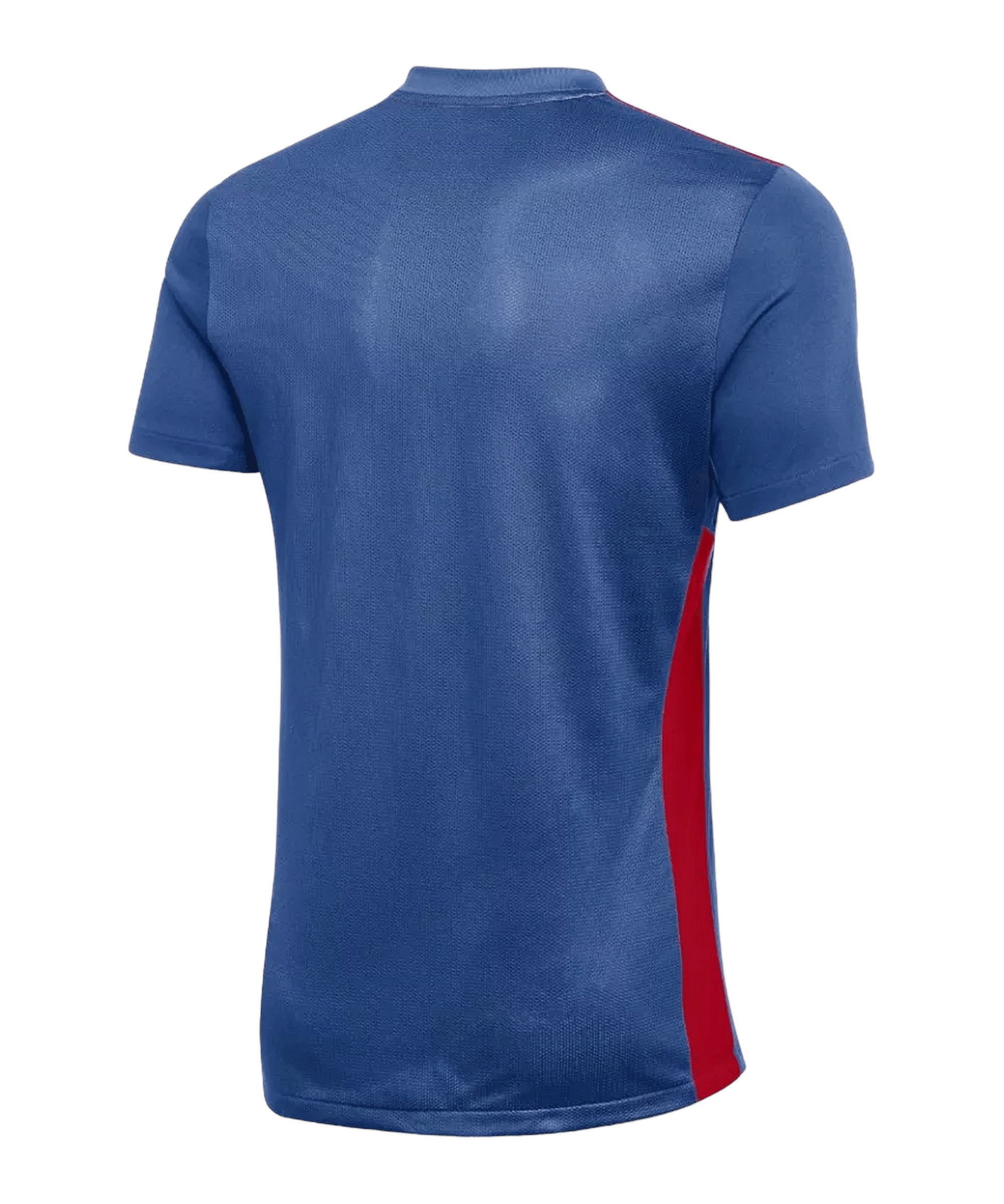 Nike Fußballtrikot Nike Performance Park Derby IV Trikot Teamsport