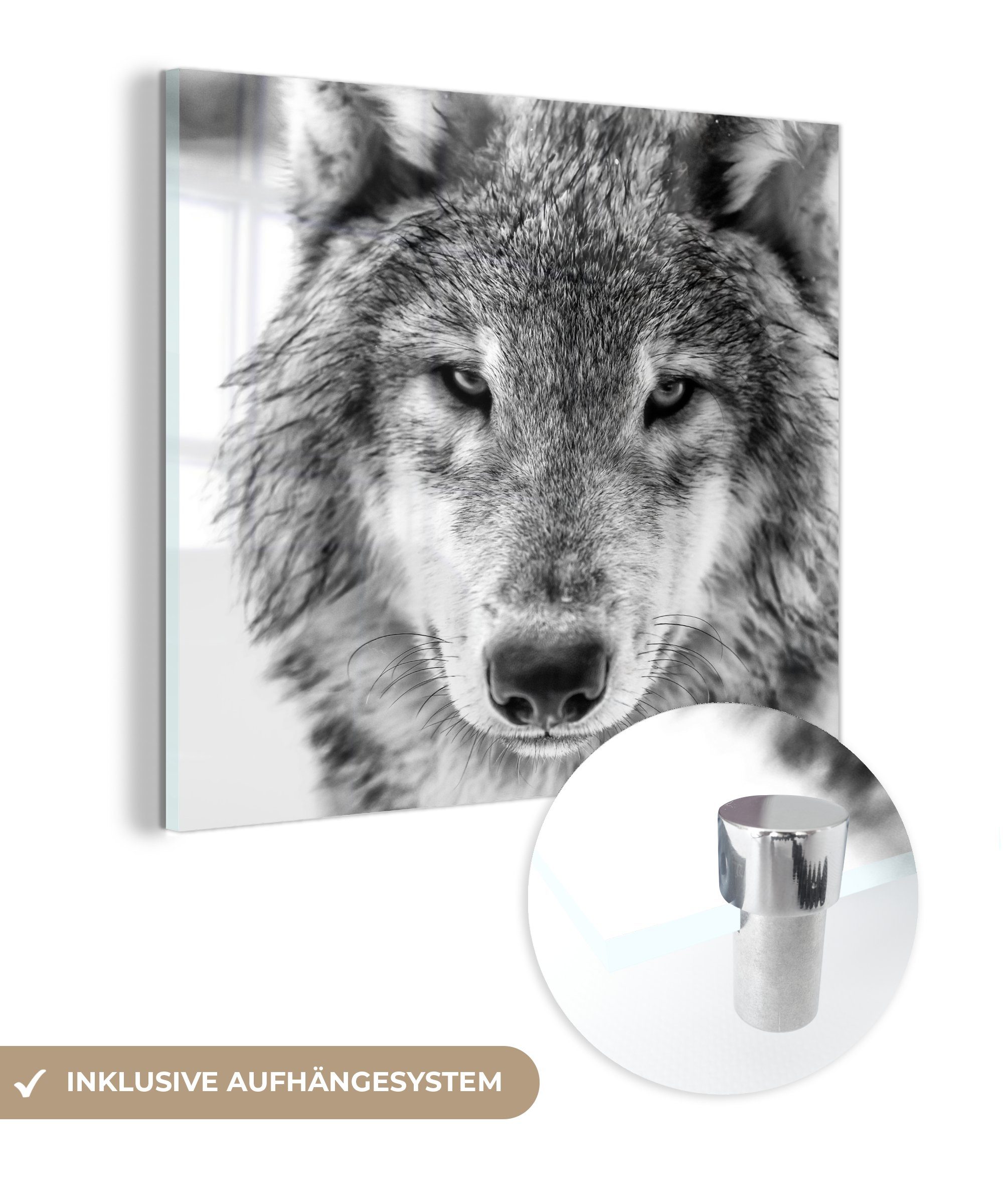 im St), Foto Bilder auf Glas und auf Acrylglasbild Wolf MuchoWow Wandbild Schwarz Winter in Glas - (1 - - Wanddekoration Glasbilder Weiß,