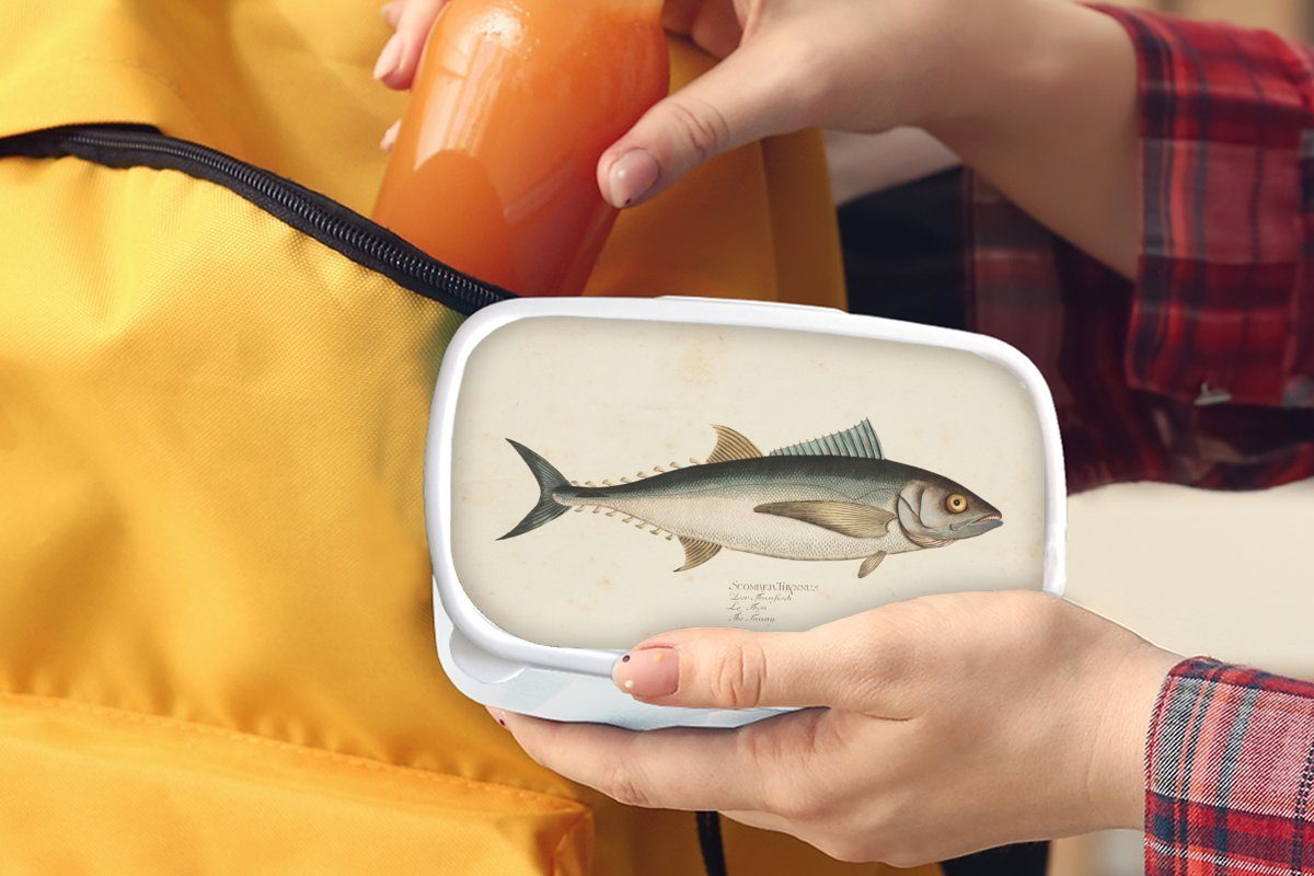 MuchoWow Lunchbox Eine Brotdose, Brotbox Mädchen weiß Erwachsene, alte für Kunststoff, für eines und und Jungs Fisches, Illustration Kinder (2-tlg)