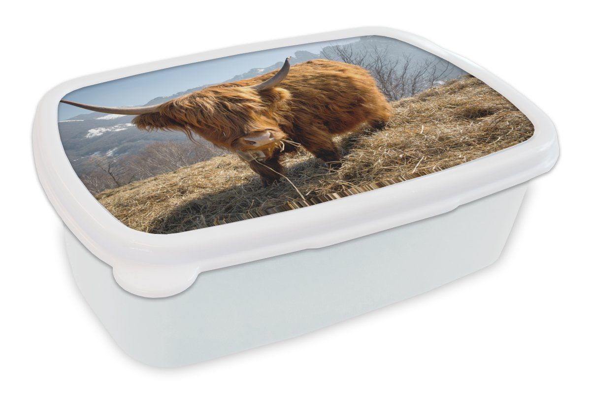 MuchoWow Lunchbox Schottischer Highlander - Berg - Schnee, Kunststoff, (2-tlg), Brotbox für Kinder und Erwachsene, Brotdose, für Jungs und Mädchen weiß