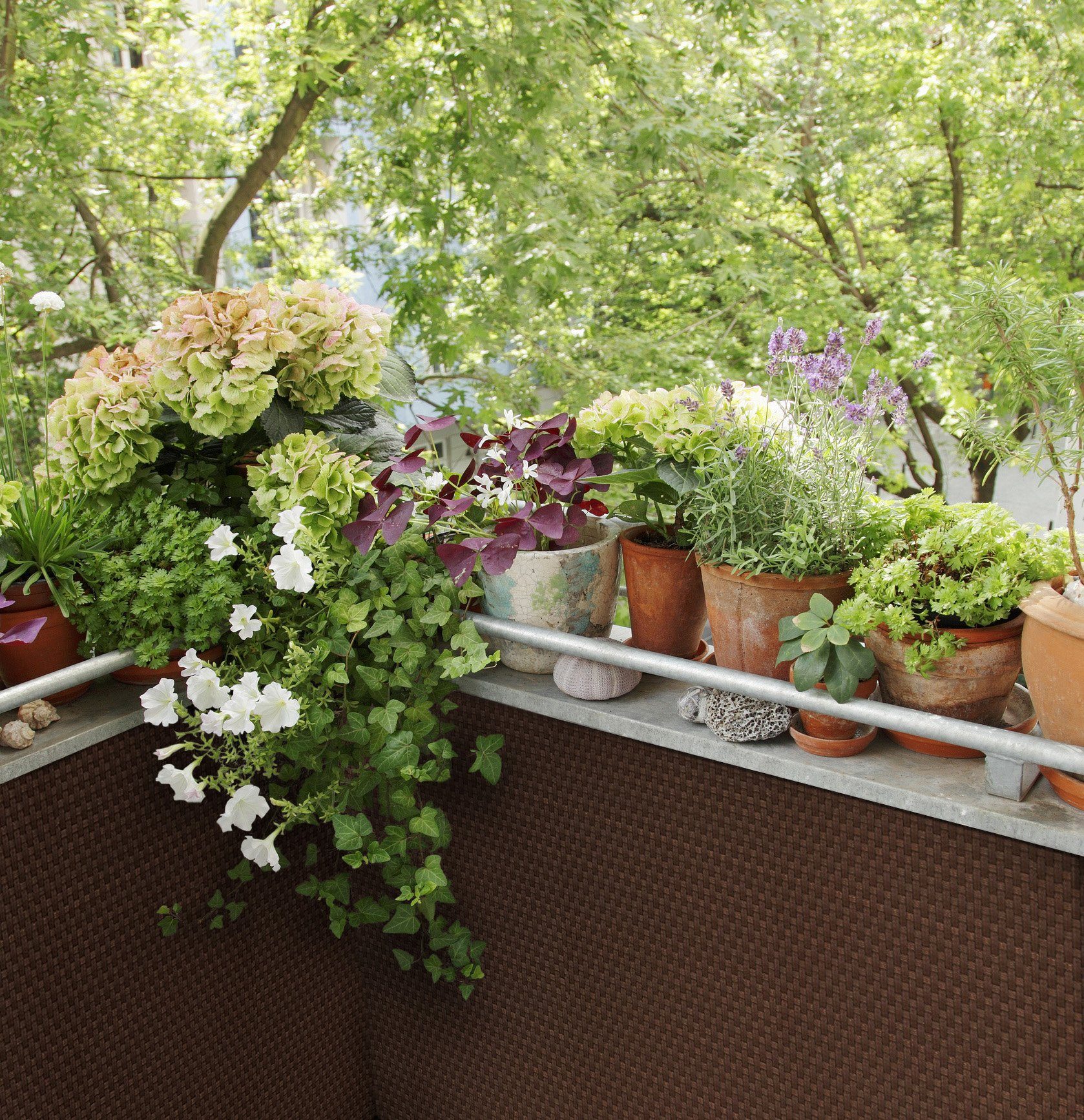 dynamic24 Sichtschutzzaunmatten, Polyrattan PVC Sichtschutz Matte günstig online kaufen
