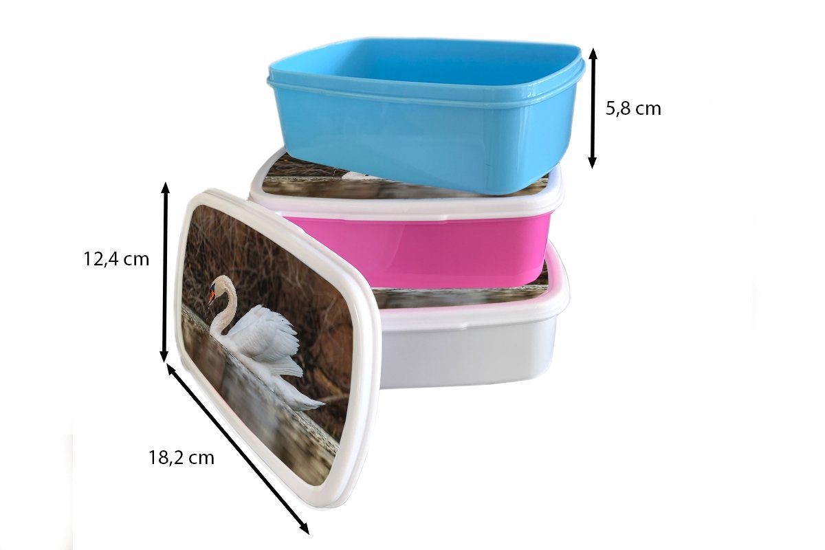 Jungs MuchoWow - Wasser Kinder Vogel, weiß Brotbox - und und Mädchen - Brotdose, für (2-tlg), für Kunststoff, Tiere Lunchbox Erwachsene, Schwan
