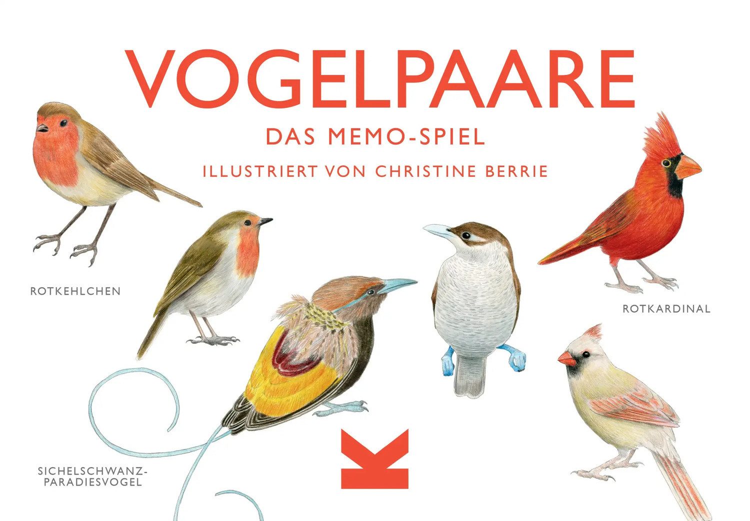 Laurence King Spiel Vogelpaare