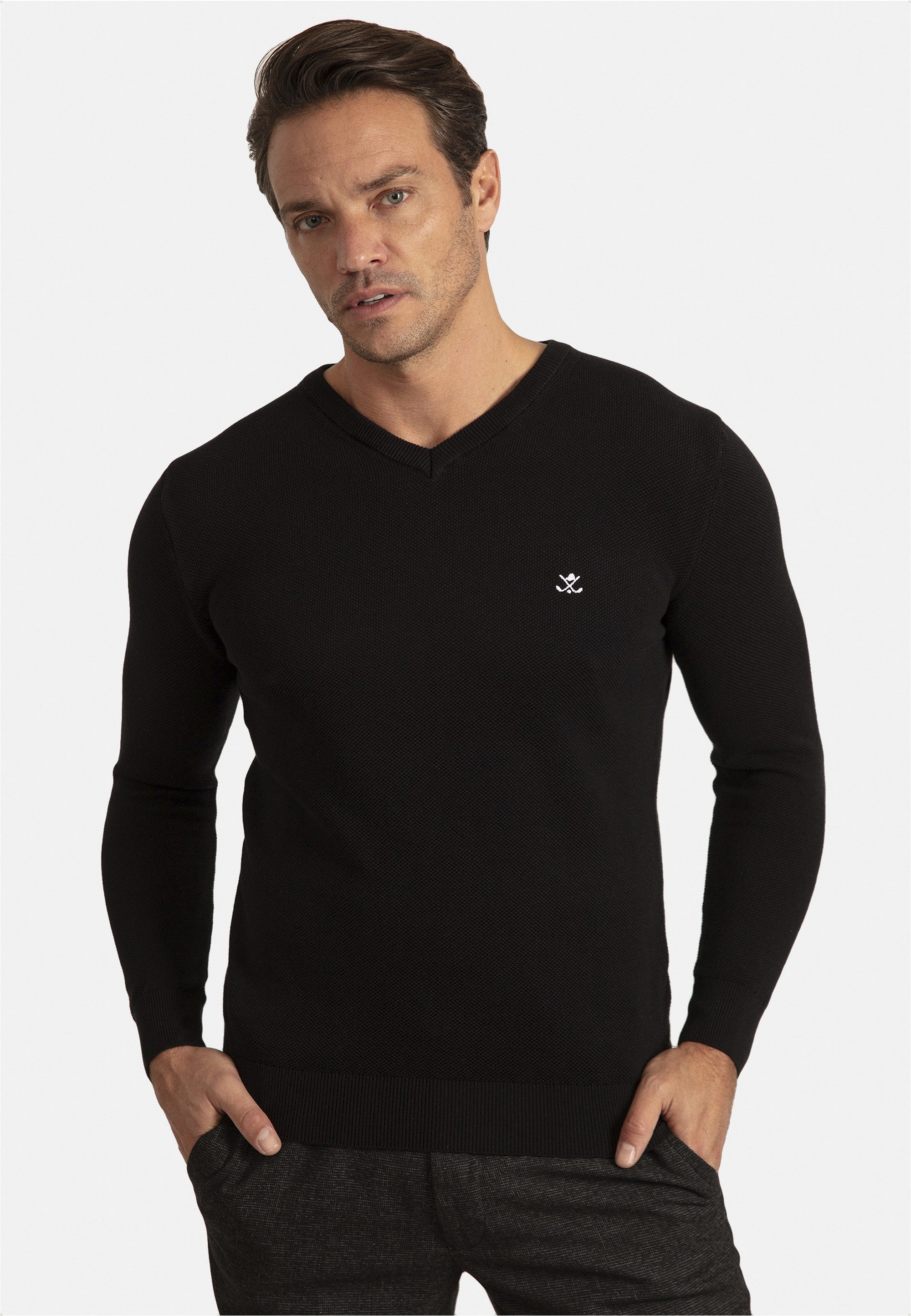 SIR RAYMOND TAILOR V-Ausschnitt-Pullover Liva mit elegantem V-Ausschnitt günstig online kaufen
