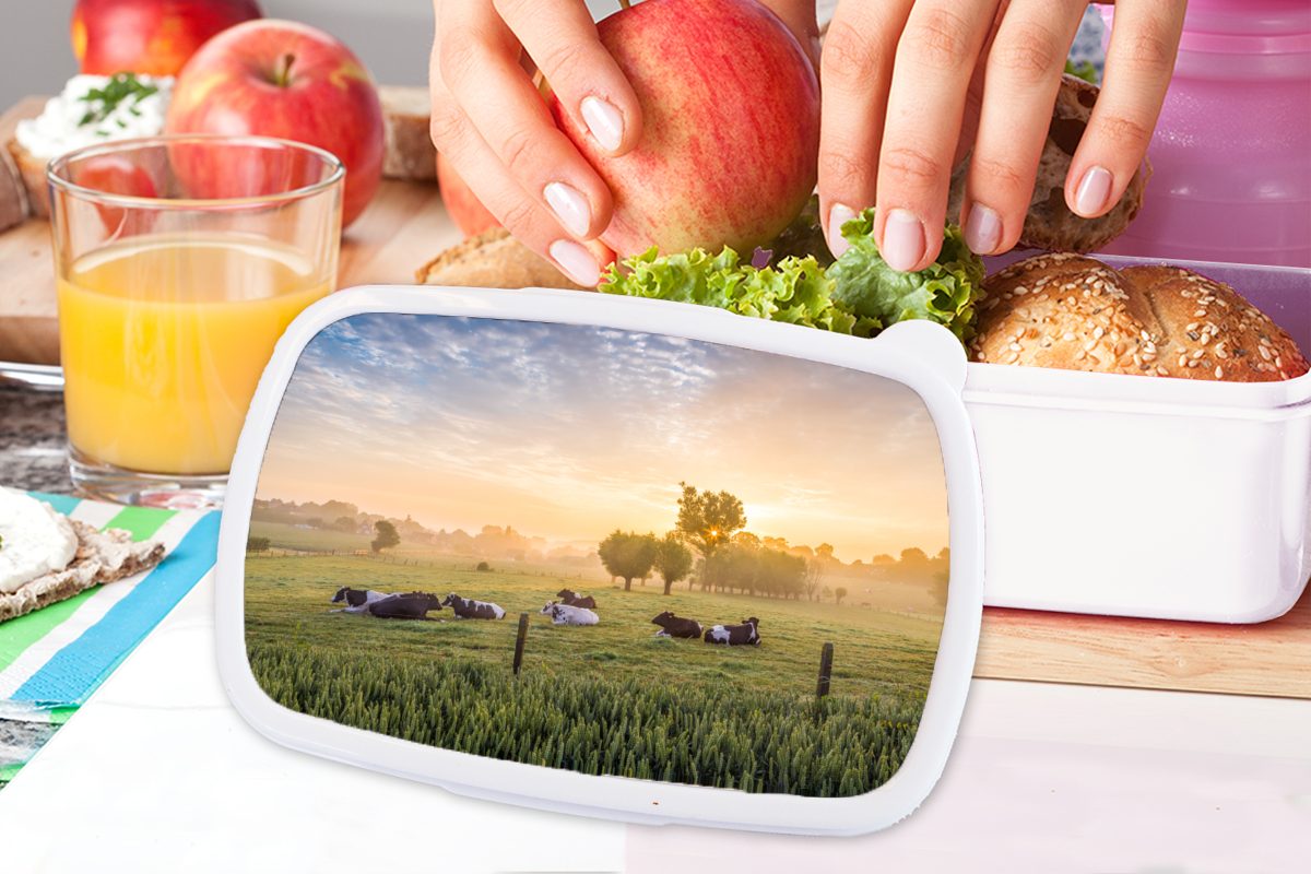 MuchoWow Lunchbox Kuh - Sonne Gras, für weiß für und und Brotbox Brotdose, Kinder Erwachsene, Jungs - (2-tlg), Kunststoff, Mädchen