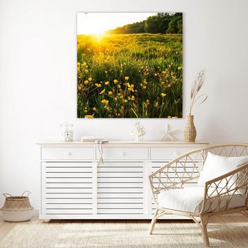 Primedeco Glasbild Wandbild Quadratisch Frühlingsblumen in Sonne mit Aufhängung, Natur