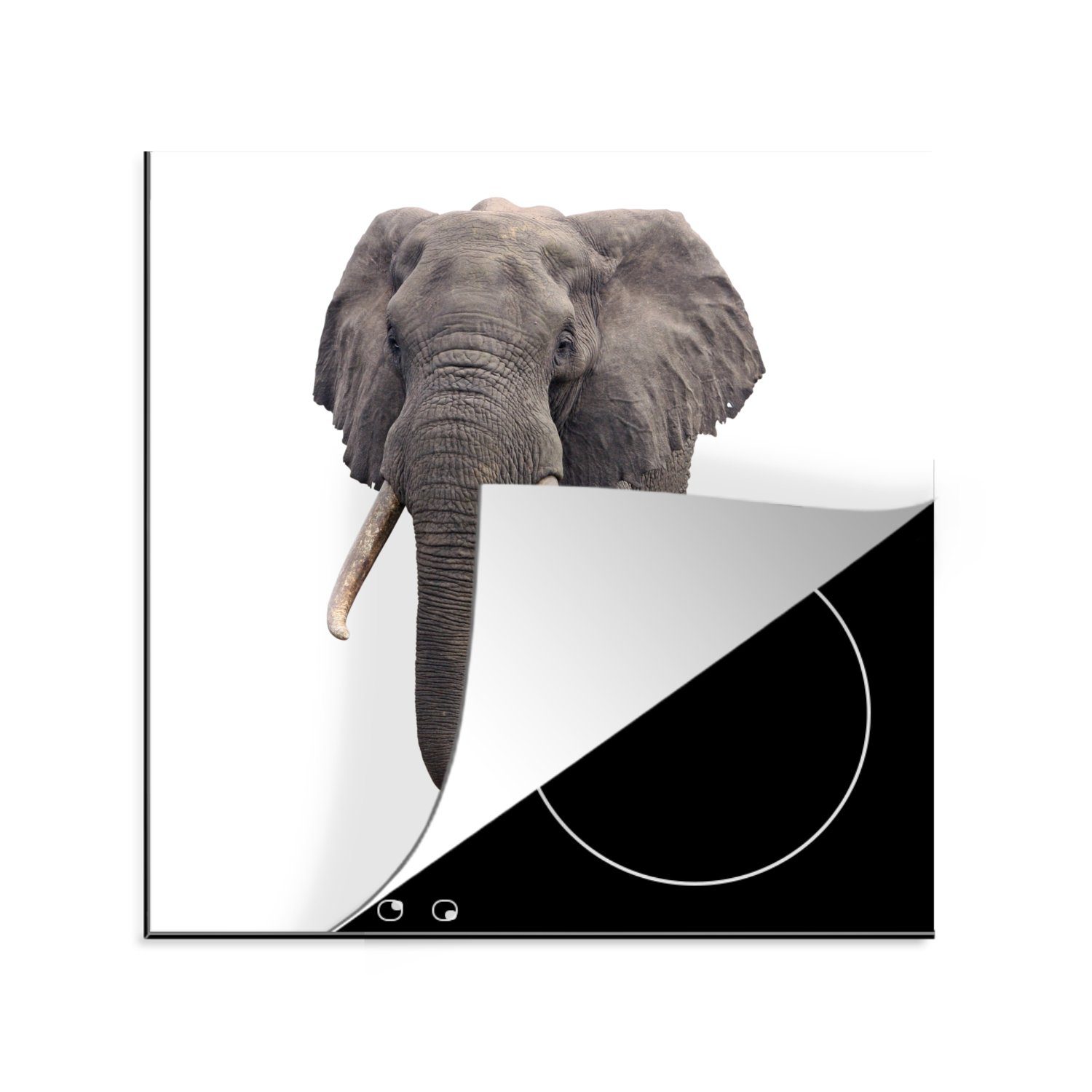 MuchoWow Herdblende-/Abdeckplatte Elefant - Afrika - Weiß, Vinyl, (1 tlg), 78x78 cm, Ceranfeldabdeckung, Arbeitsplatte für küche