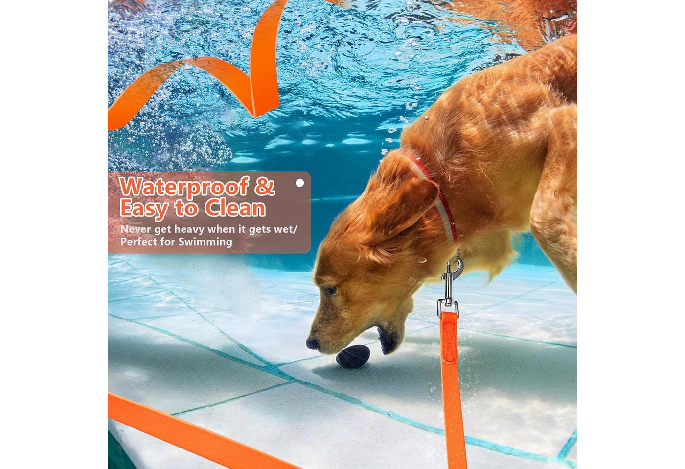 Thumbnail - IOKHEIRA Schutzkragen Trainingsleine für Hunde wasserdicht gepolsterter Griff 5m Orange