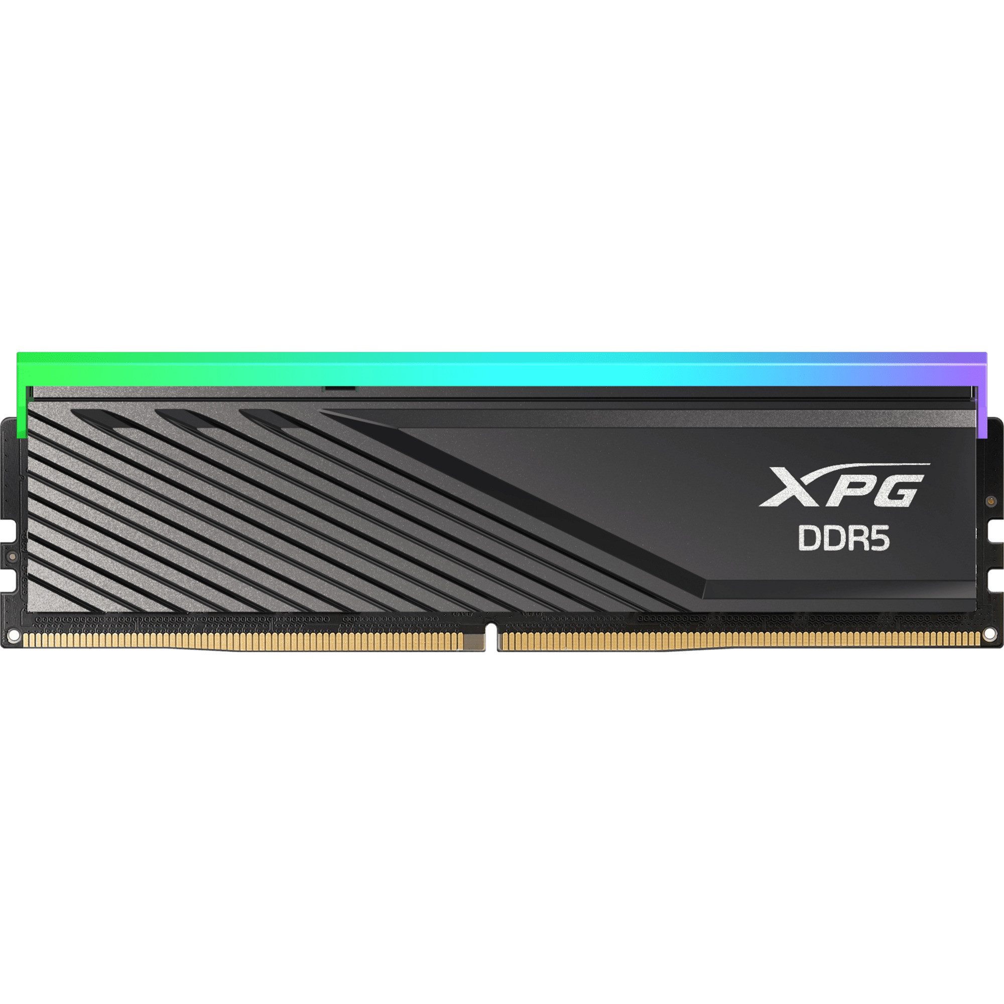 ADATA DIMM 16 GB DDR5-6000, Arbeitsspeicher Arbeitsspeicher