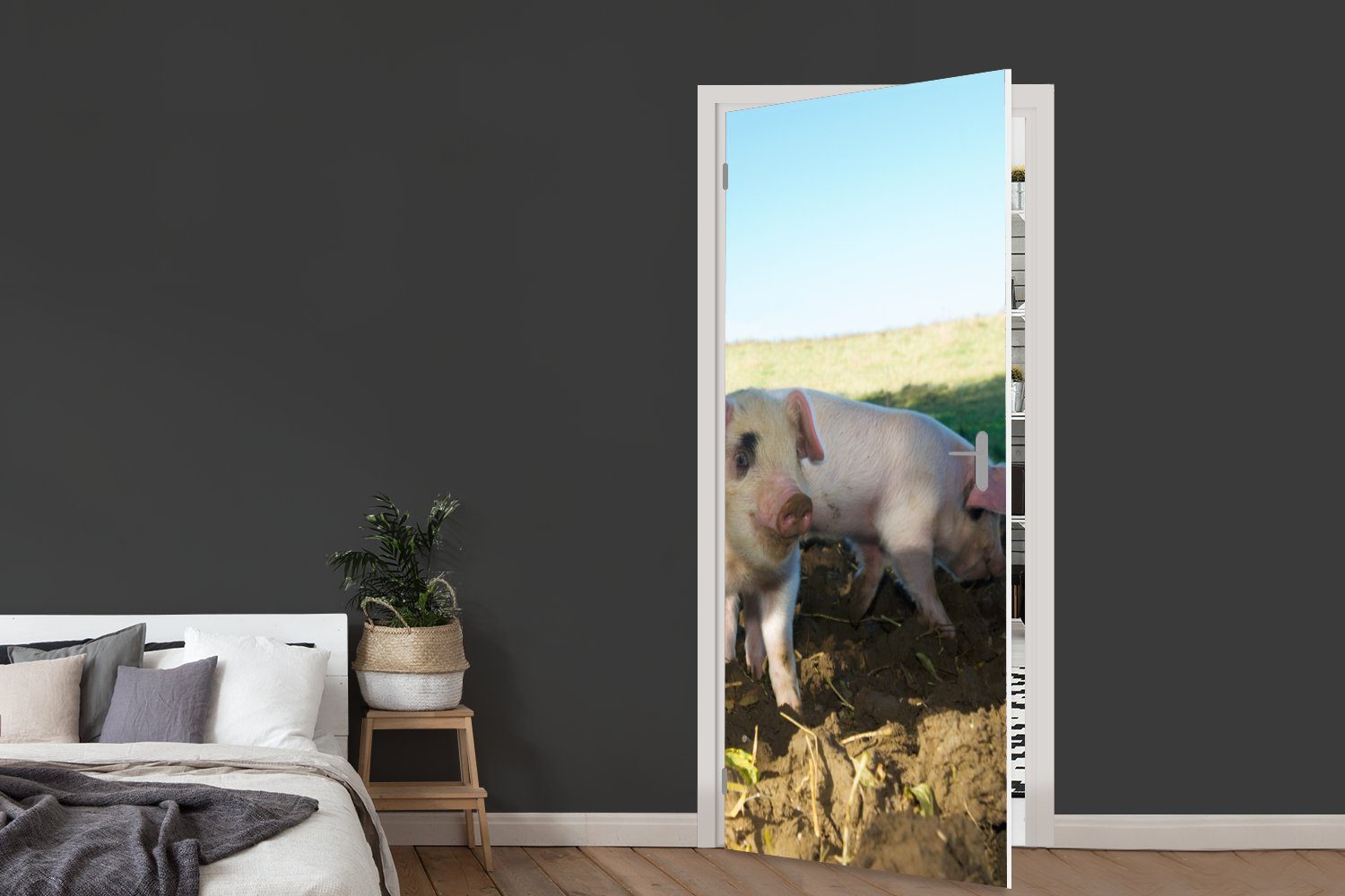 (1 75x205 Schweine - Türtapete Matt, Landschaft, - Fototapete Tür, für cm Türaufkleber, bedruckt, Tiere St), MuchoWow