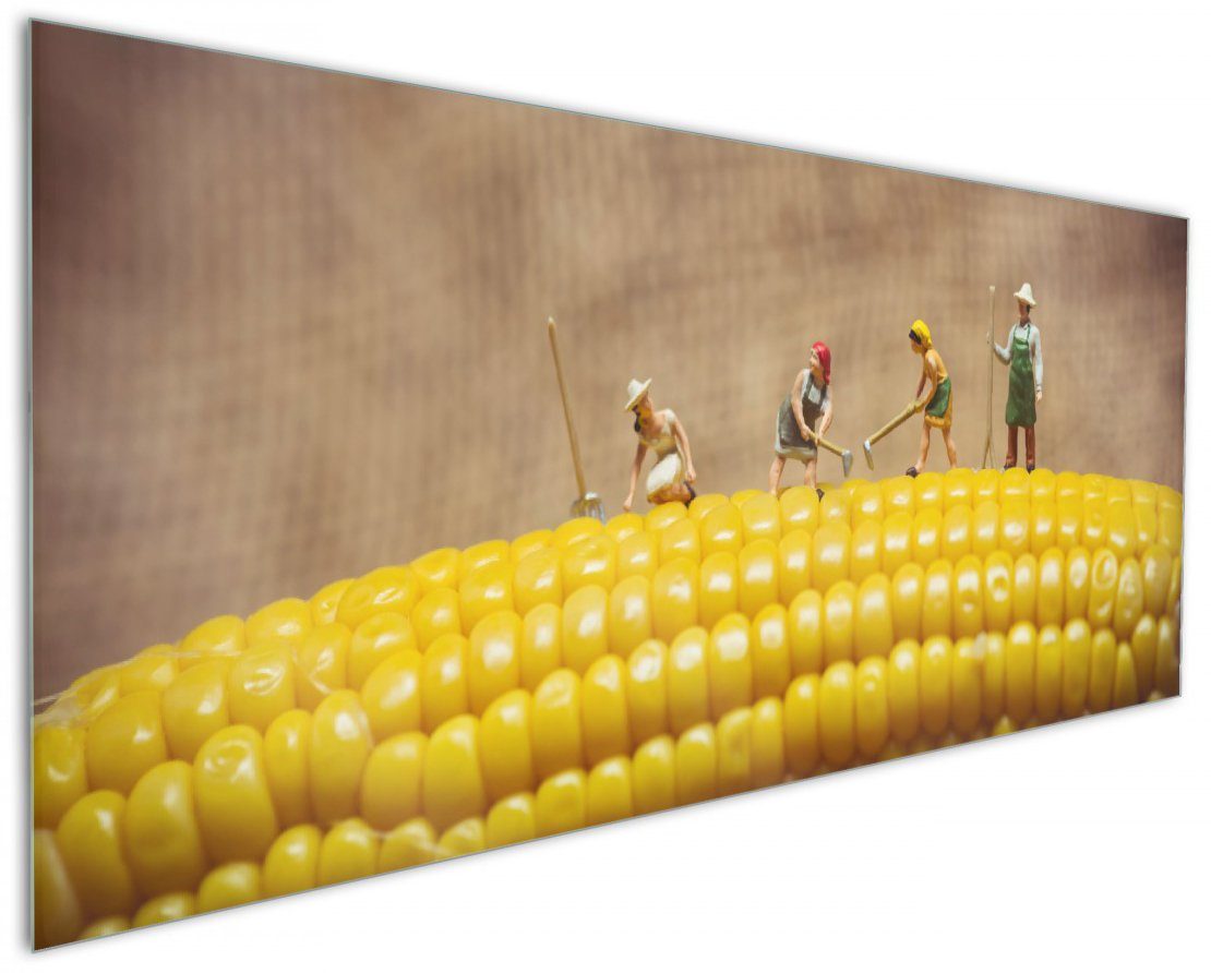 Wallario Küchenrückwand Lustige Bauernfiguren auf einem Maiskolben beim Arbeiten, (1-tlg)