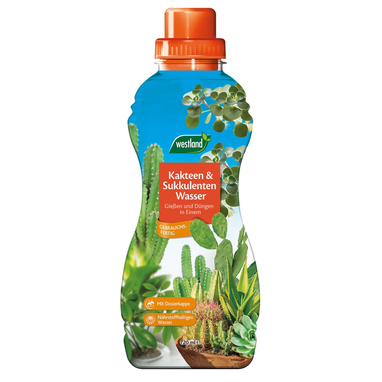 Westland Blumendünger Westland Kakteen- & Sukkulenten Wasser 720 ml