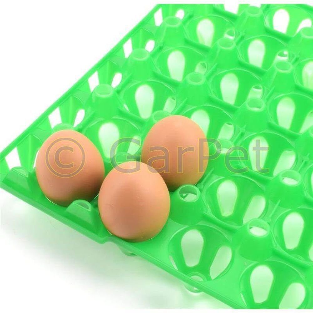 GarPet Eierkorb 10 Eierkartons Eierverpackung Kunststoff Eierhorden Eierlagen Mehrweg