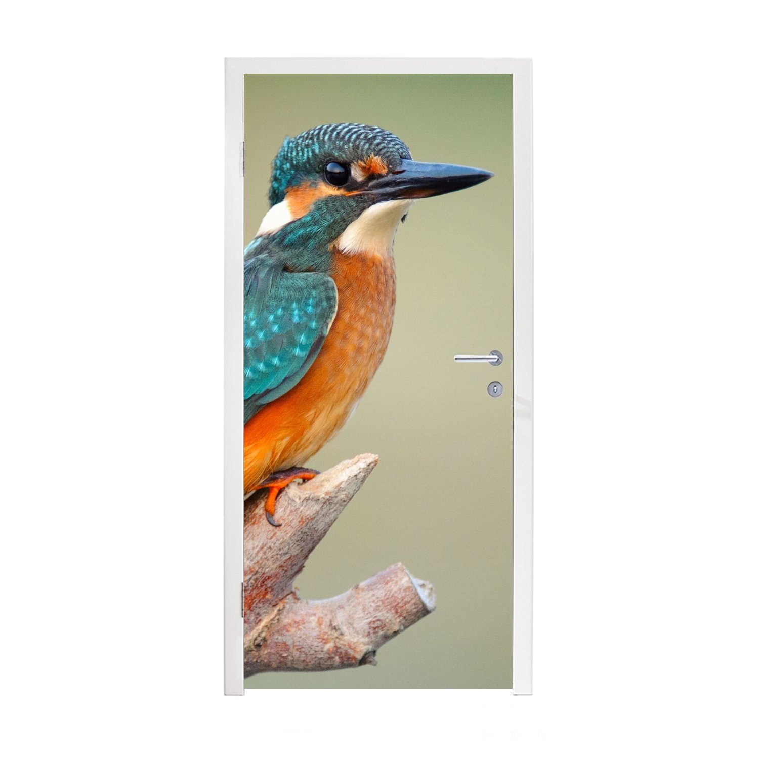 MuchoWow Türtapete Vogel - Eisvogel - Zweig, Matt, bedruckt, (1 St), Fototapete für Tür, Türaufkleber, 75x205 cm | Türtapeten