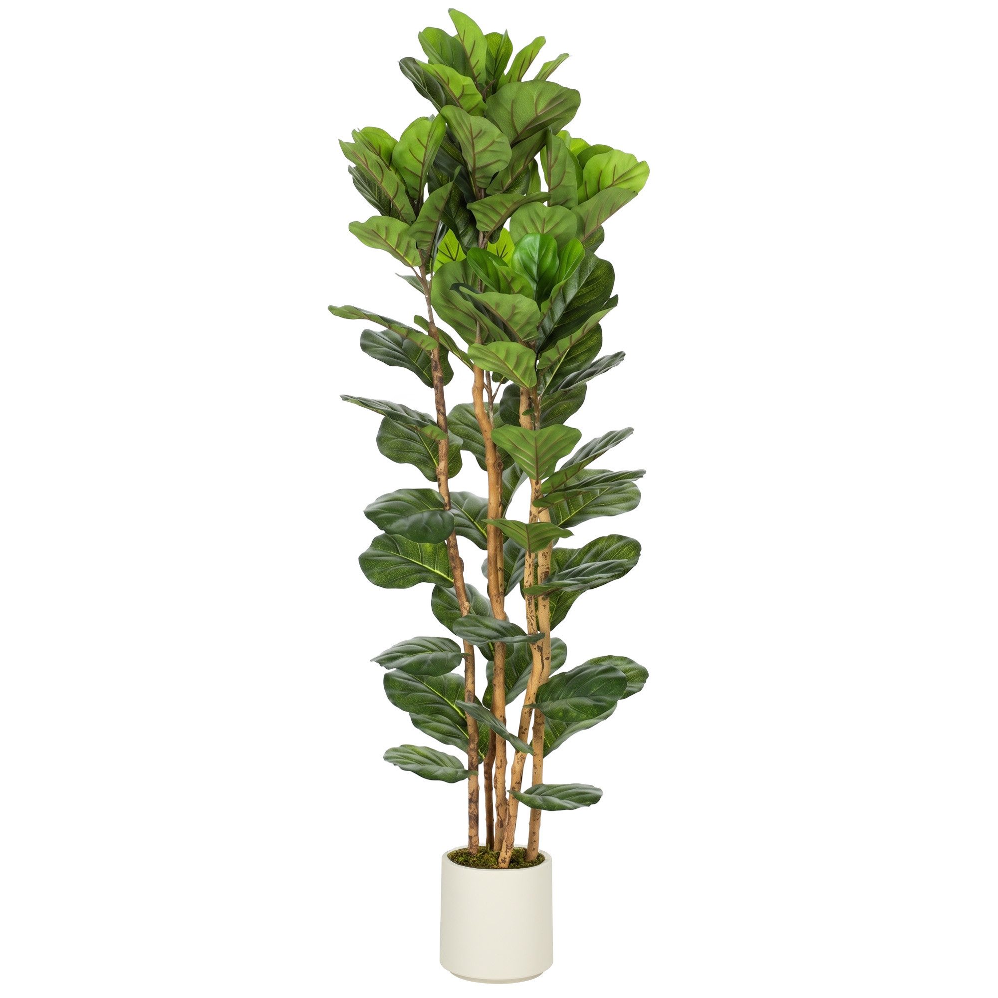 Kunstpflanze Massivholzstamm, 91 Blätter Geigenfeige, HOMCOM, Höhe 180 cm, für Wohnzimmer, Schlafzimmer, Büro, Garten, Grün – Bild 2 von 5