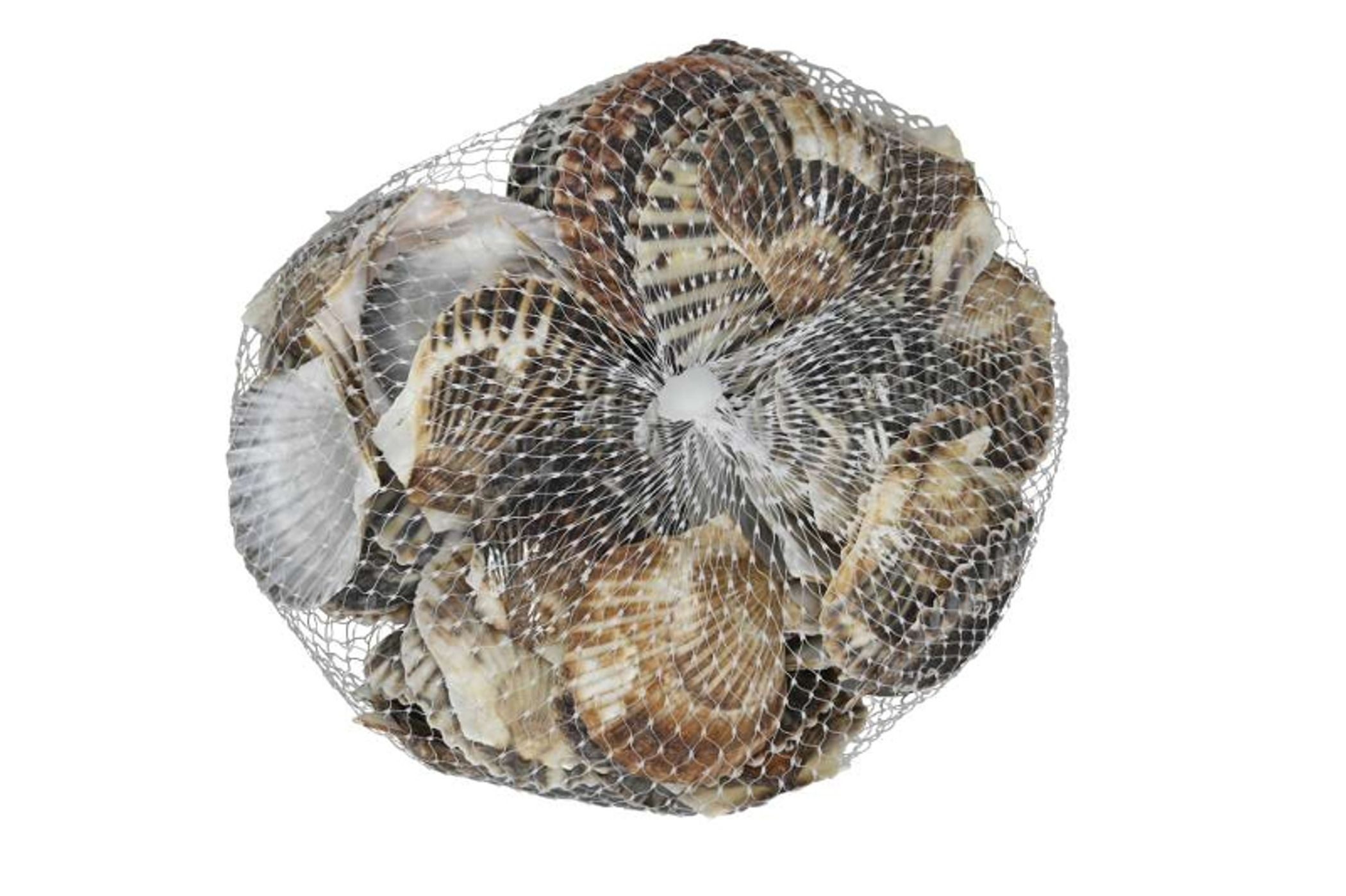 Deko-Impression Streudeko 3 Netze echte Muscheln ca. 3 - 6 cm, braun-beige. Streudeko, (3-tlg)