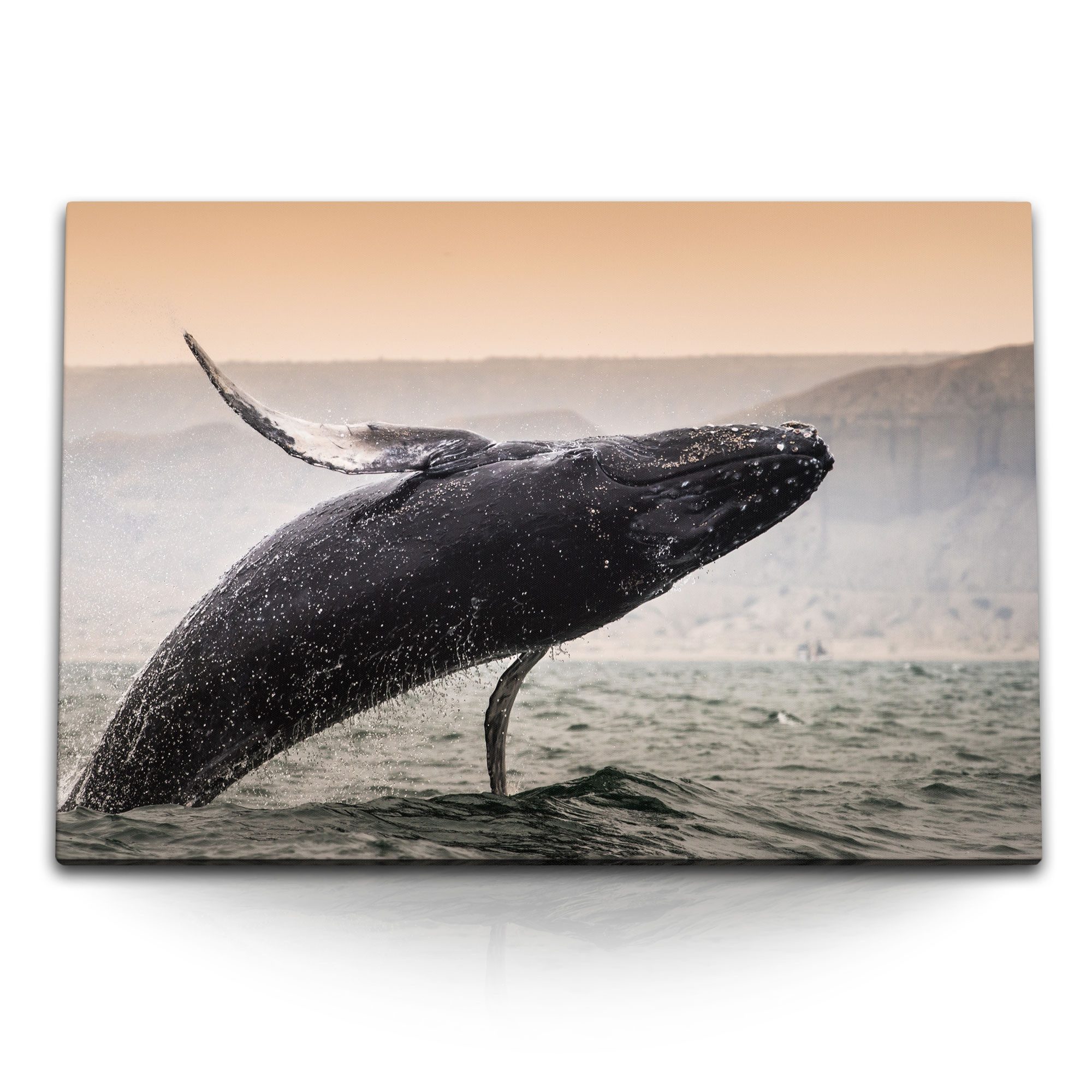 Sinus Art Leinwandbild 120x80cm Wandbild auf Leinwand Grauwal Wal springt aus den Wasser Meer, (1 St)