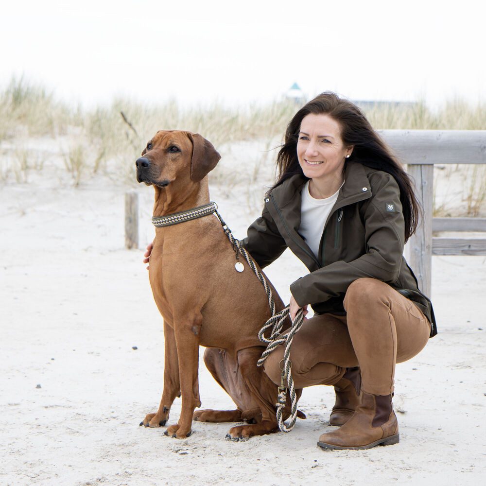 Trendfährte Führleine Schecker Hundeleine Paracord - 3-fach verstellbar, Paracord, Messing (Packung, 1-tlg), Liebevolle Handarbeit aus Ostfriesland