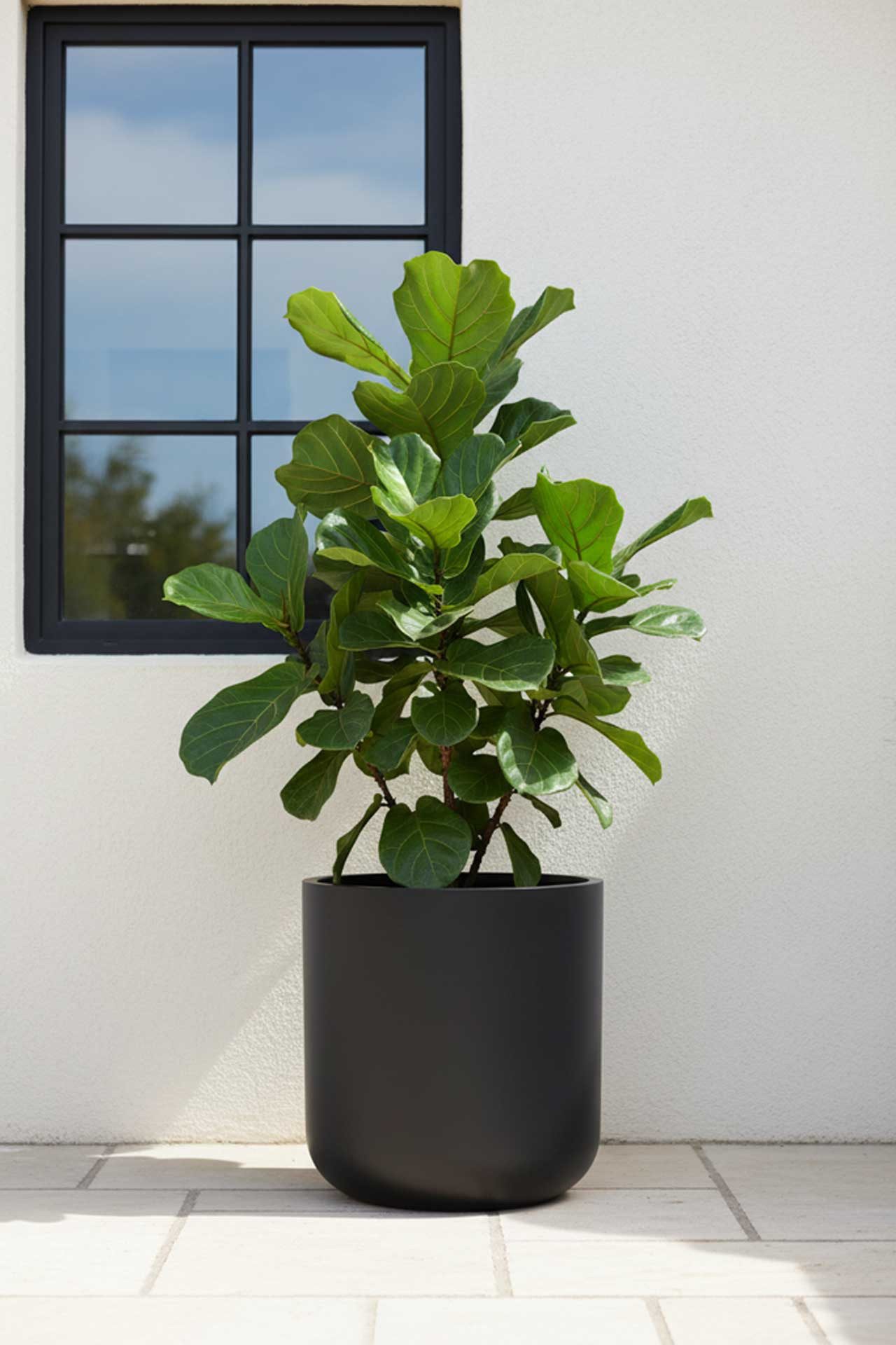VIVANNO Blumentopf Fiberglas CHICO Rund - Anthrazit Matt (1 St), 45x50 cm