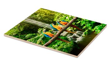 Posterlounge Holzbild Editors Choice, Drei Aras vor einem Wasserfall, Fotografie