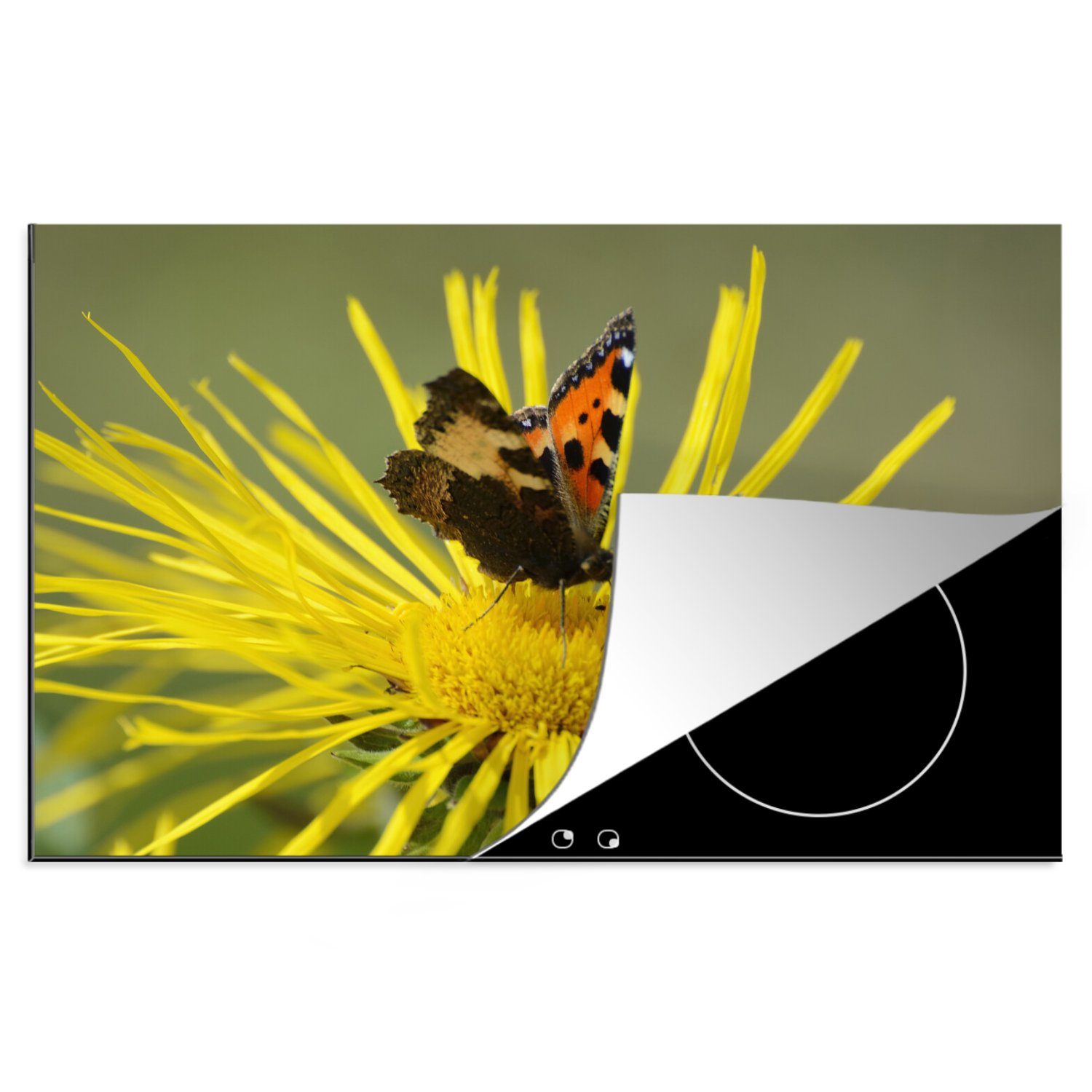MuchoWow Herdblende-/Abdeckplatte Schmetterling auf einer Alantblüte, Vinyl, (1 tlg), 81x52 cm, Induktionskochfeld Schutz für die küche, Ceranfeldabdeckung