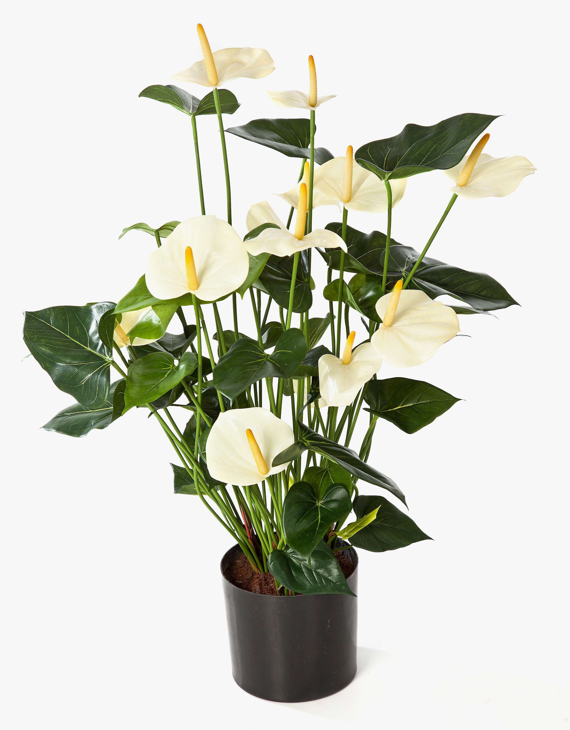 Kunstblume Kunstpflanze Anthurium Busch Levana, 13 Blüten, Creme, Deluxe, 80cm Flamingoblume, artplants, Höhe 80.0 cm