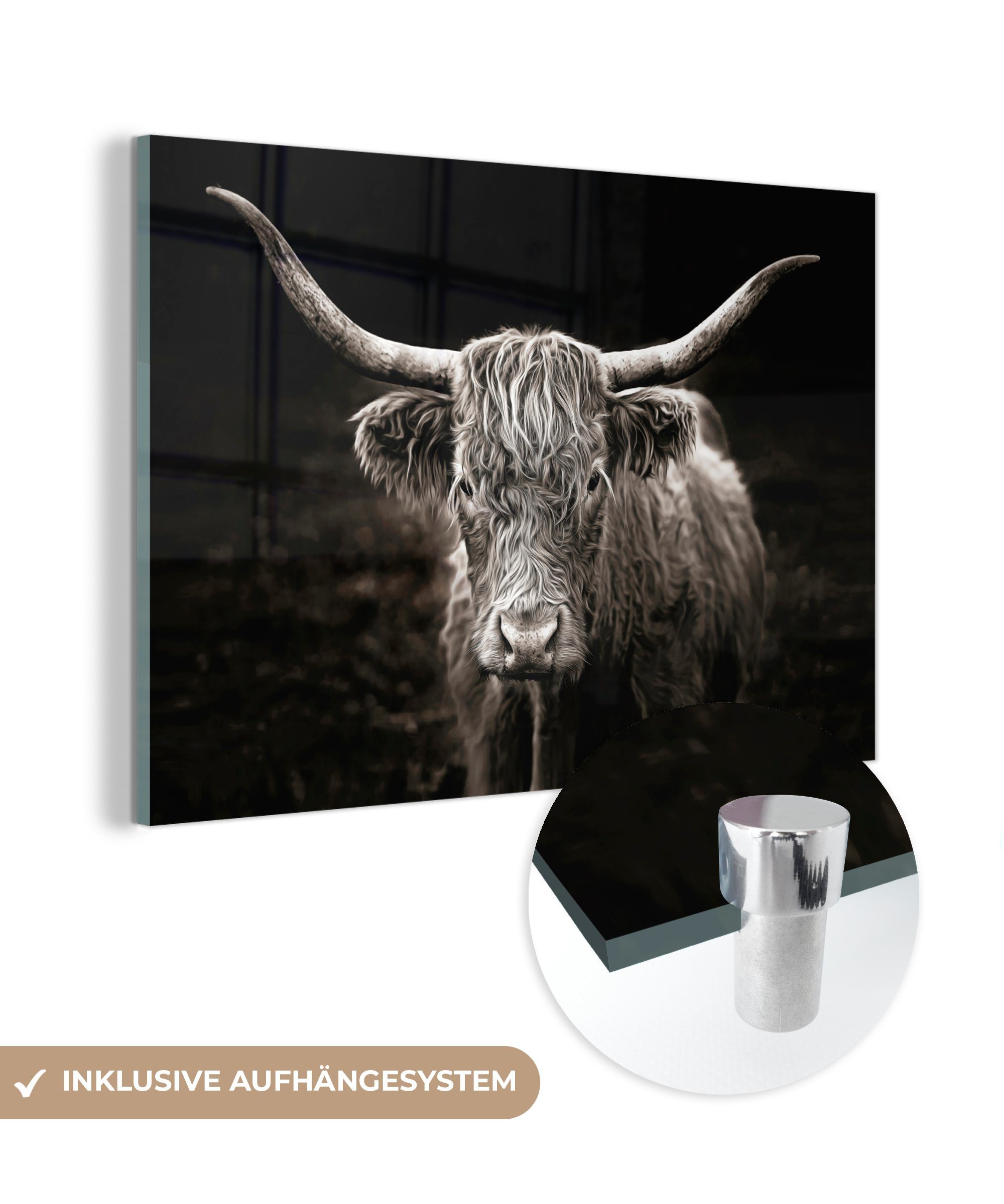 MuchoWow Acrylglasbild Schottischer Highlander - Schwarz - Weiß - Tiere, (1 St), Acrylglasbilder Wohnzimmer & Schlafzimmer