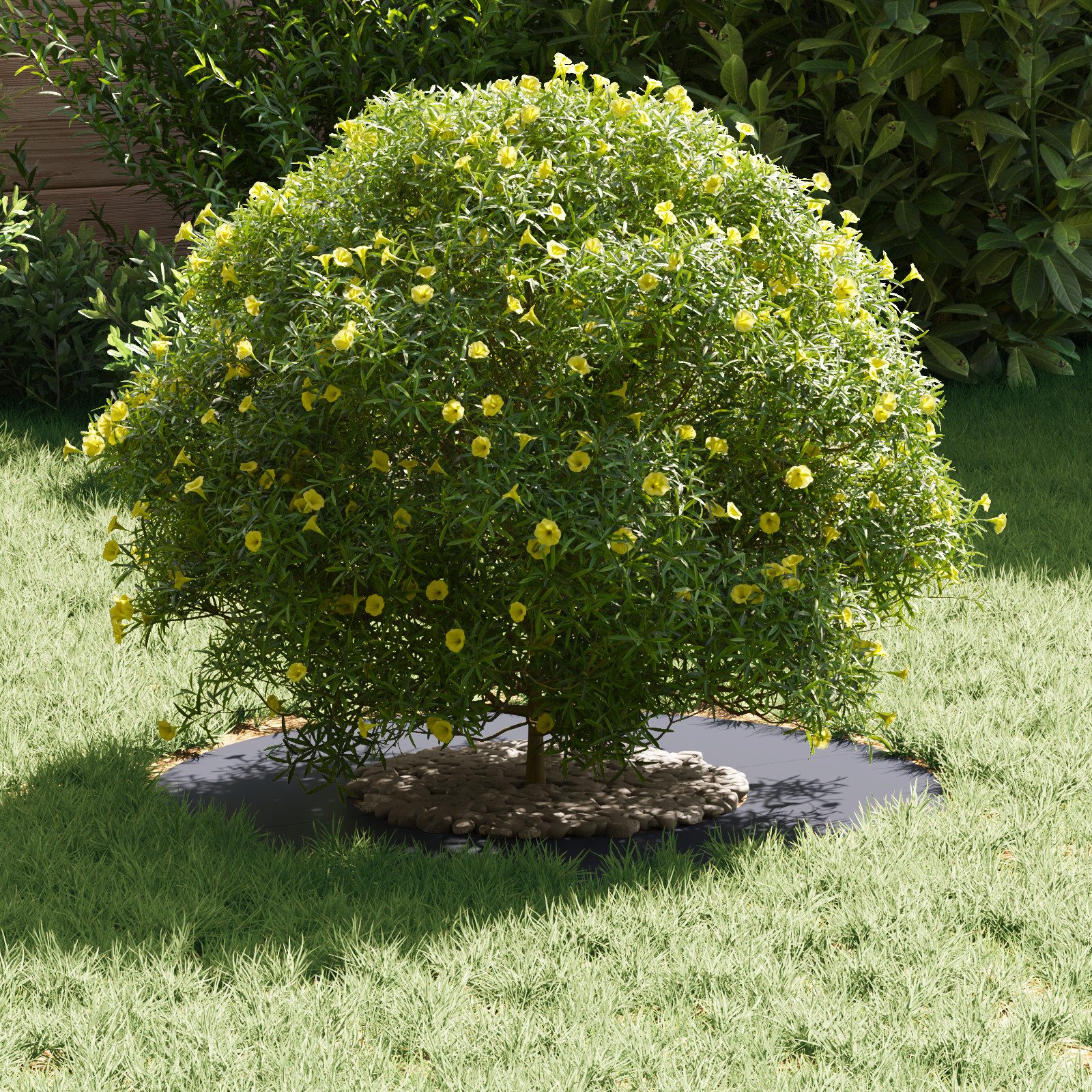 vidaXL Blumentopf Anthrazit Pflanzer Anthrazit Kunststoff günstig online kaufen
