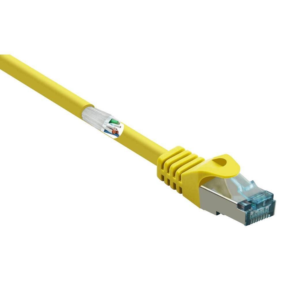 CAT6A m Renkforce 10 Netzwerkkabel LAN-Kabel S/FTP