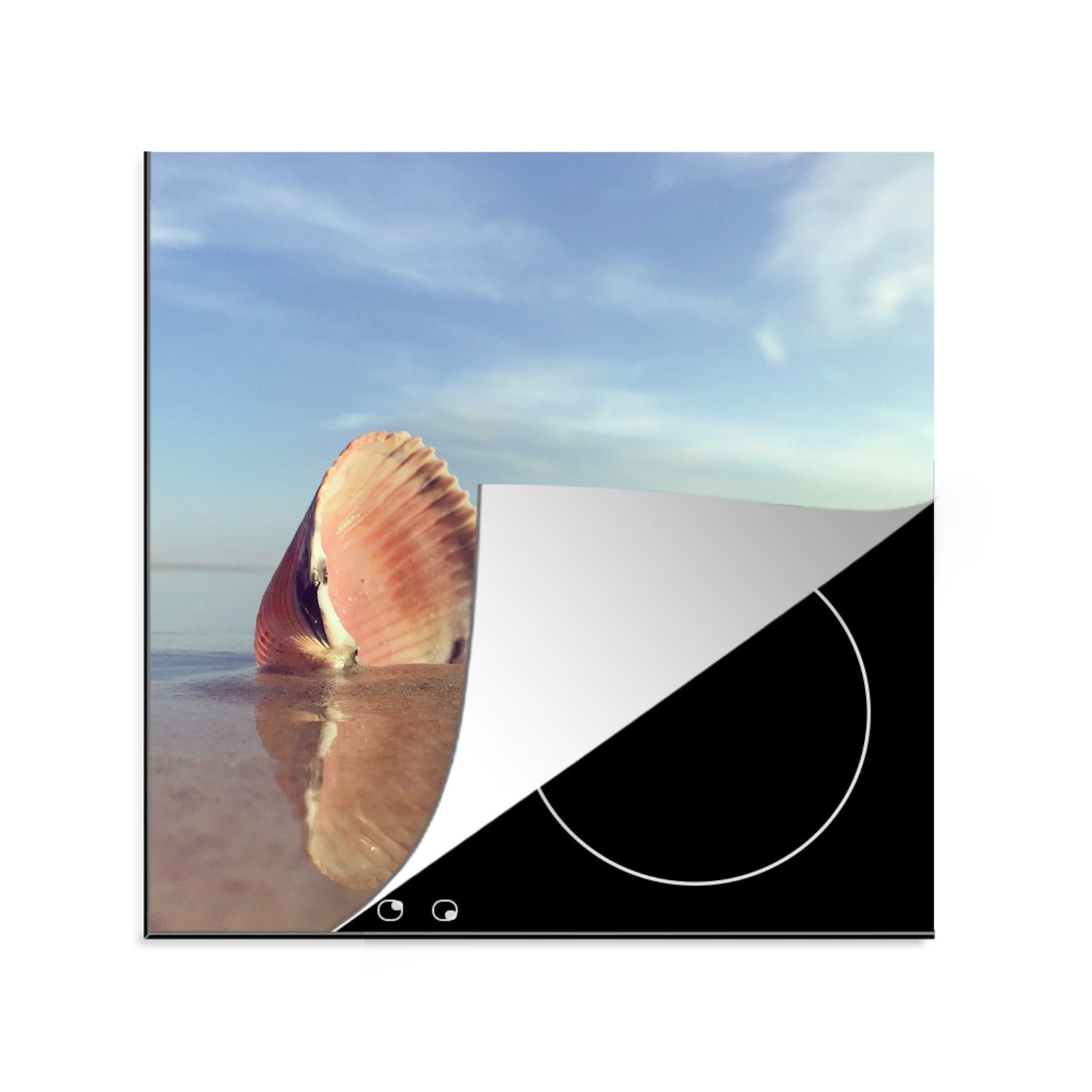 MuchoWow Herdblende-/Abdeckplatte Muschel - Strand - Meer, Vinyl, (1 tlg), 78x78 cm, Ceranfeldabdeckung, Arbeitsplatte für küche