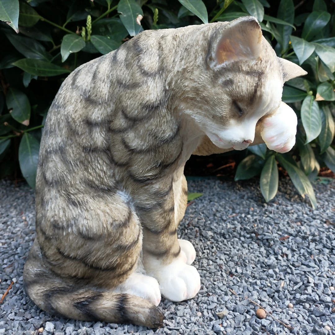 Aspinaworld Gartenfigur Sitzende Katzen Figur in grau mit Pfote oben 25 cm Gartendeko