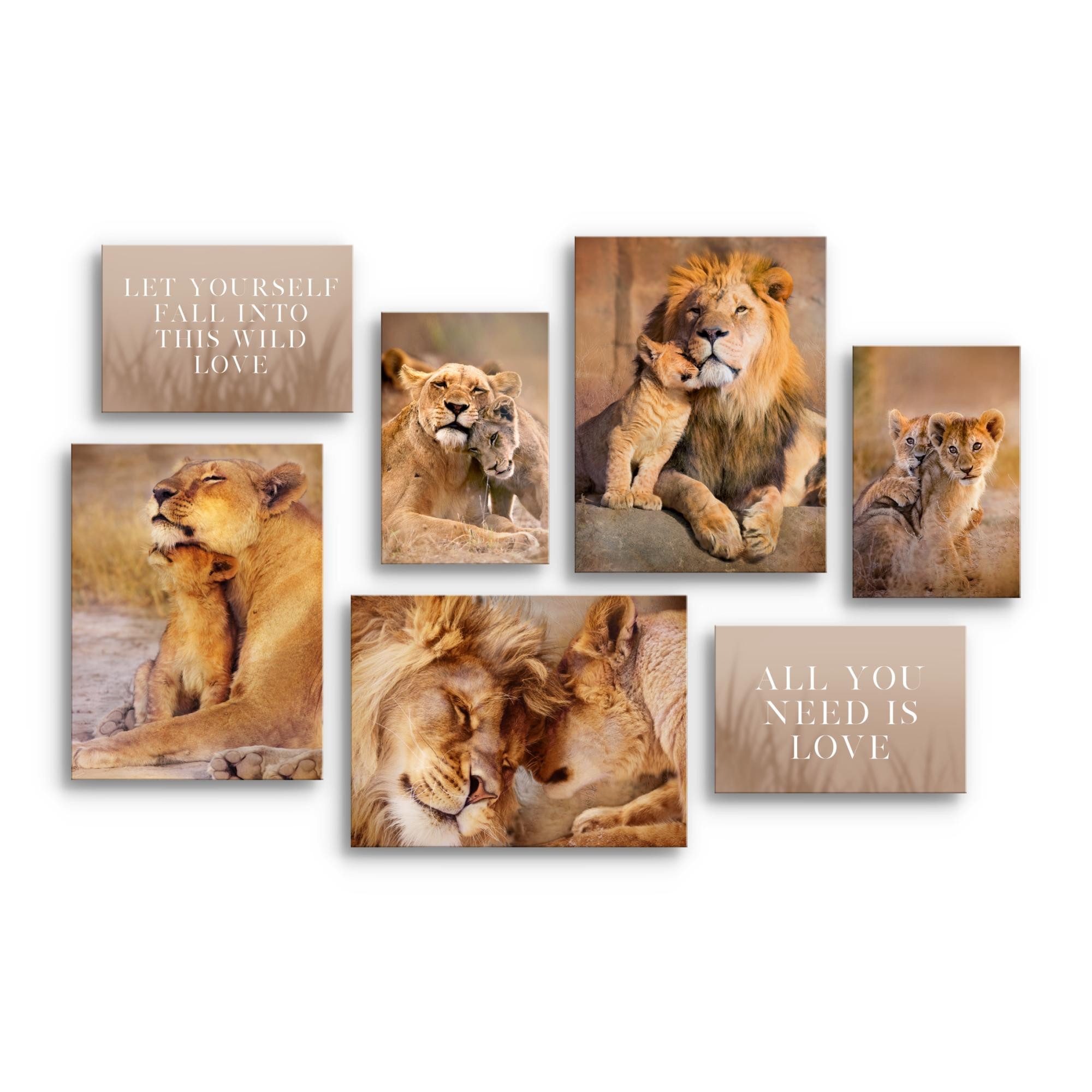 Novart Wandbild Löwen, Farbig oder Schwarzweiß günstig online kaufen