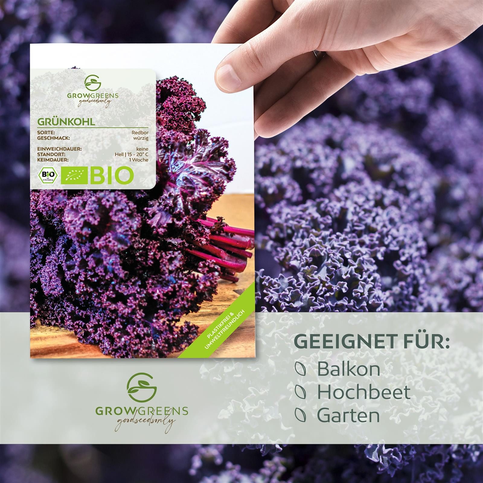 Growgreens Gemüsesamen BIO Grünkohl Samen (Redbor) günstig online kaufen