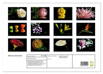 CALVENDO Wandkalender Blütenschönheiten (Premium, hochwertiger DIN A2 Wandkalender 2023, Kunstdruck in Hochglanz)