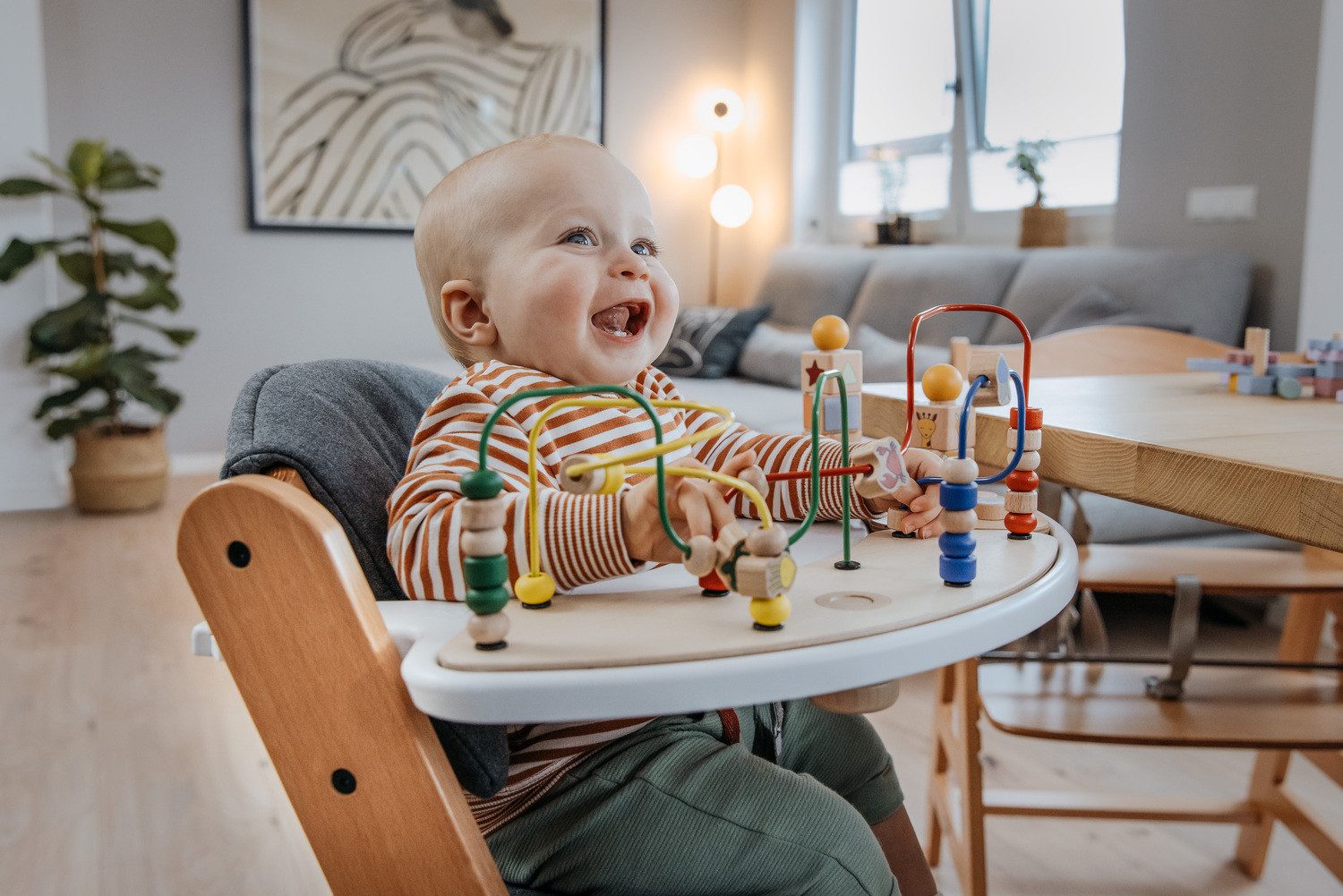 Hauck Hochstuhltablett Alpha Play Tray, White, günstig online kaufen