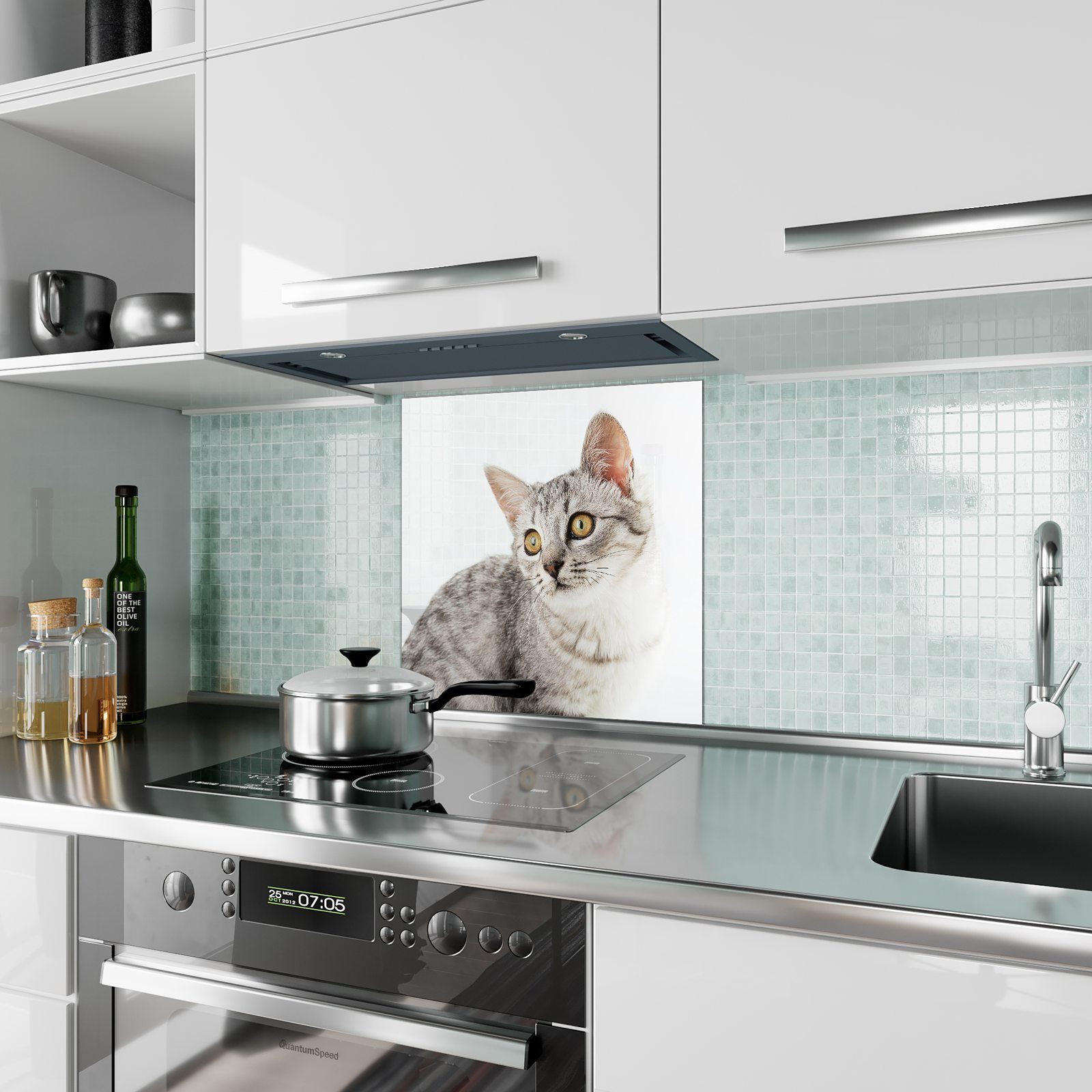 Spritzschutz neugierig Motiv Glas mit Katze Küchenrückwand Küchenrückwand Primedeco