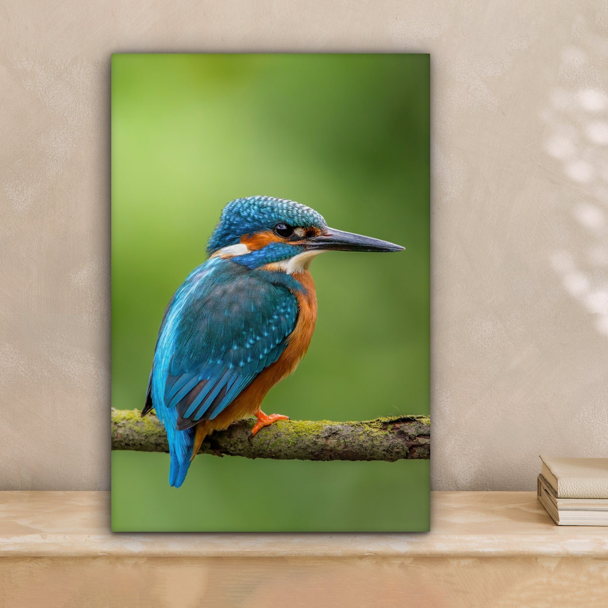 OneMillionCanvasses® Leinwandbild Eisvogel - Zweig - Moos - Vogel - Grün, F günstig online kaufen