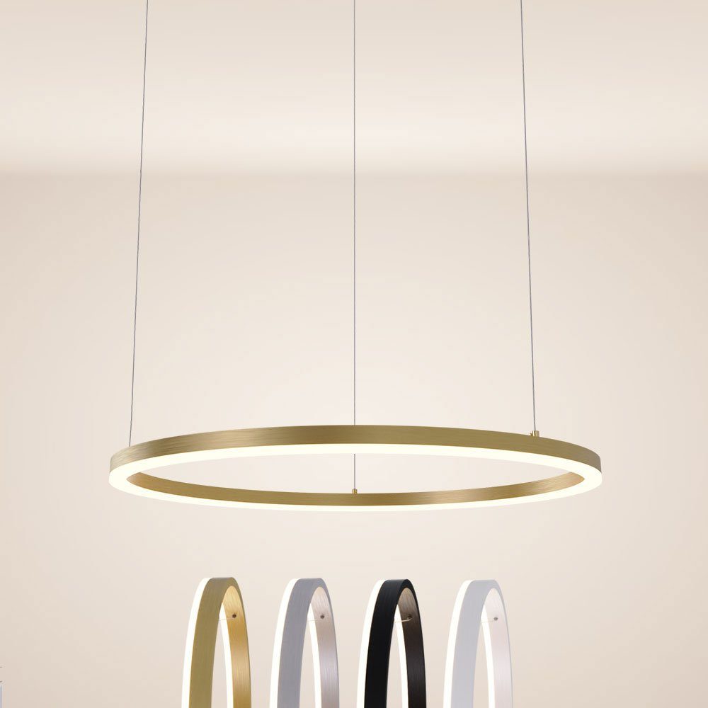 s.luce Pendelleuchte LED Pendellampe Ring Aufhängung 5m Weiß, Warmweiß 80